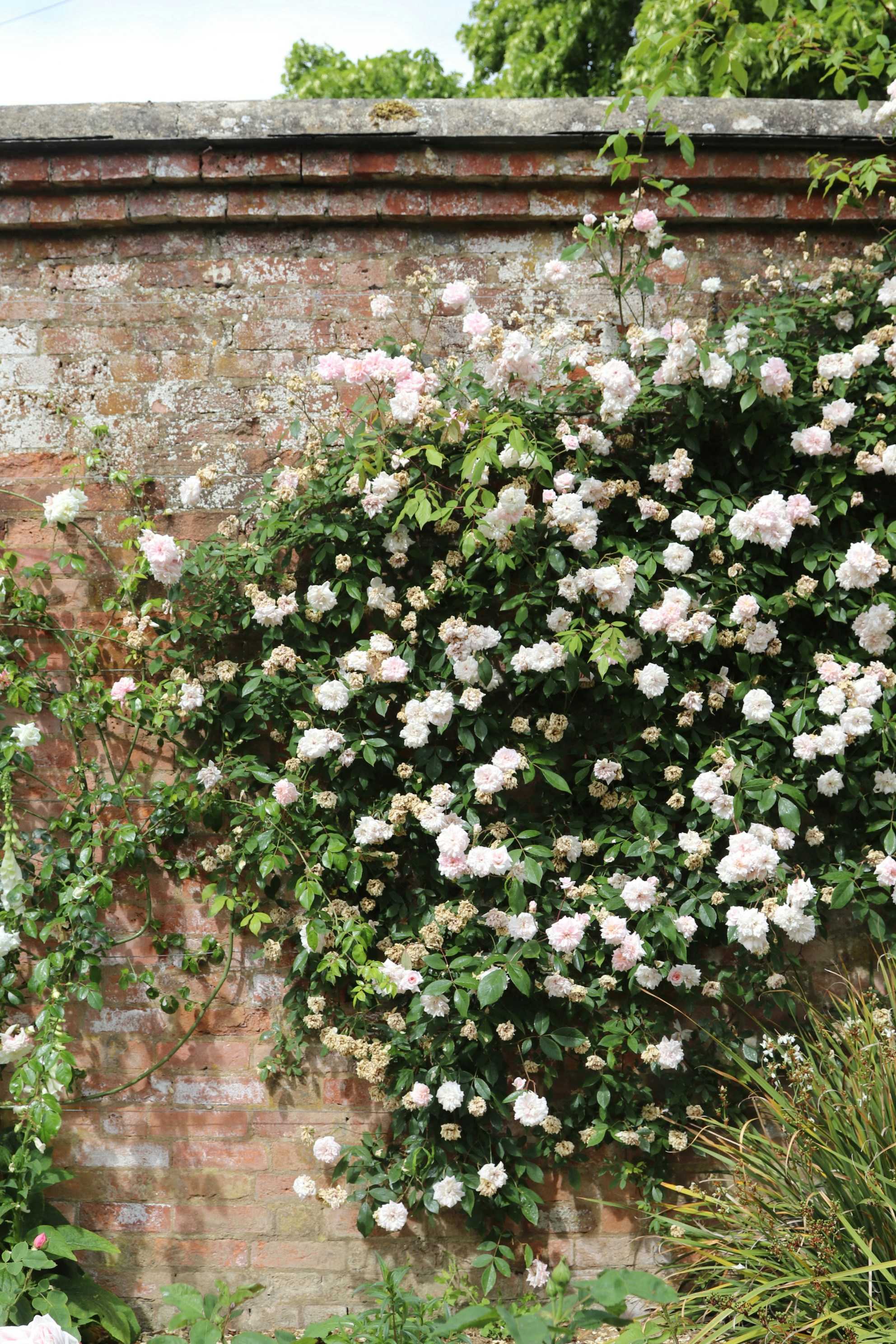 Photo by tanyabarrow