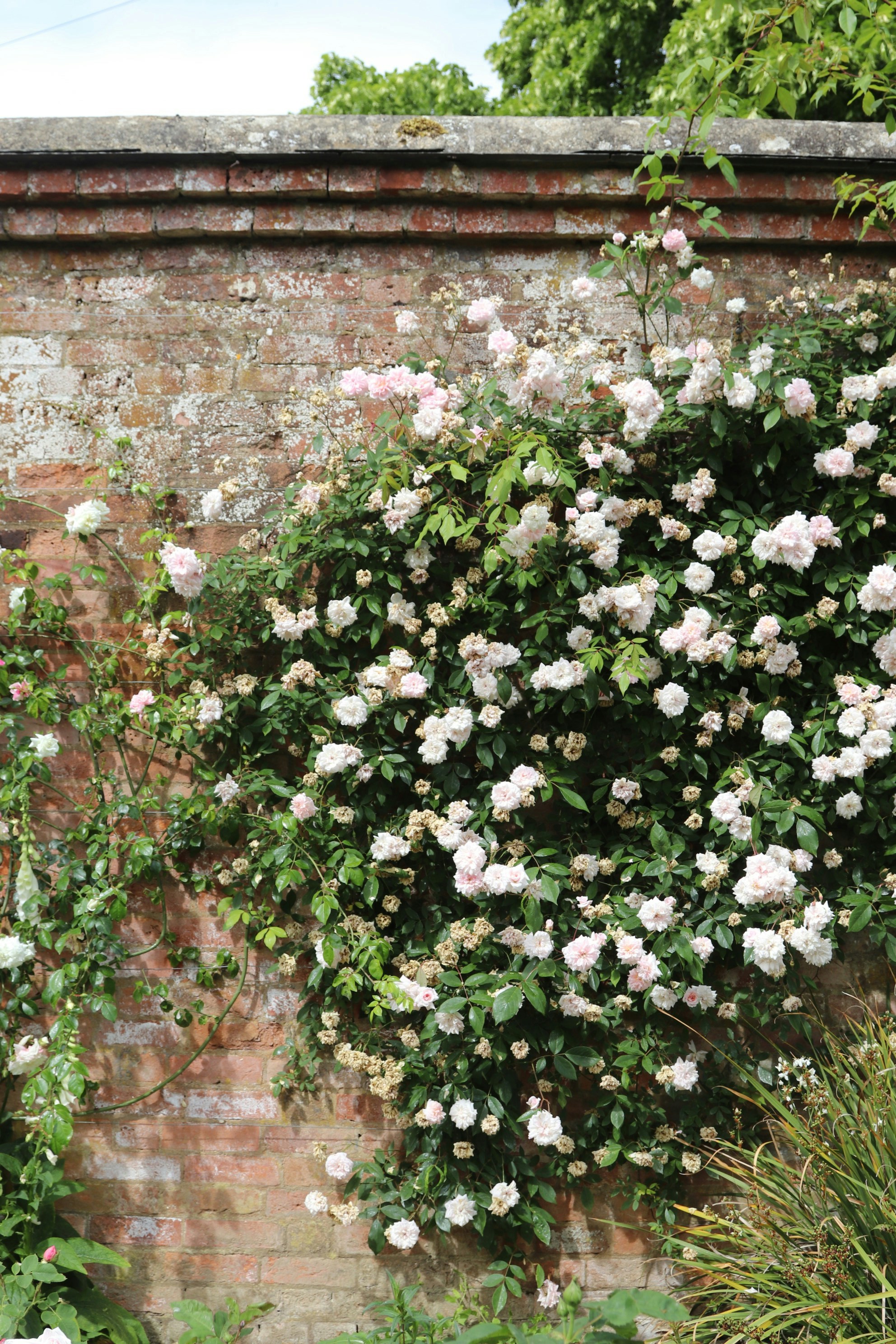 Photo by tanyabarrow