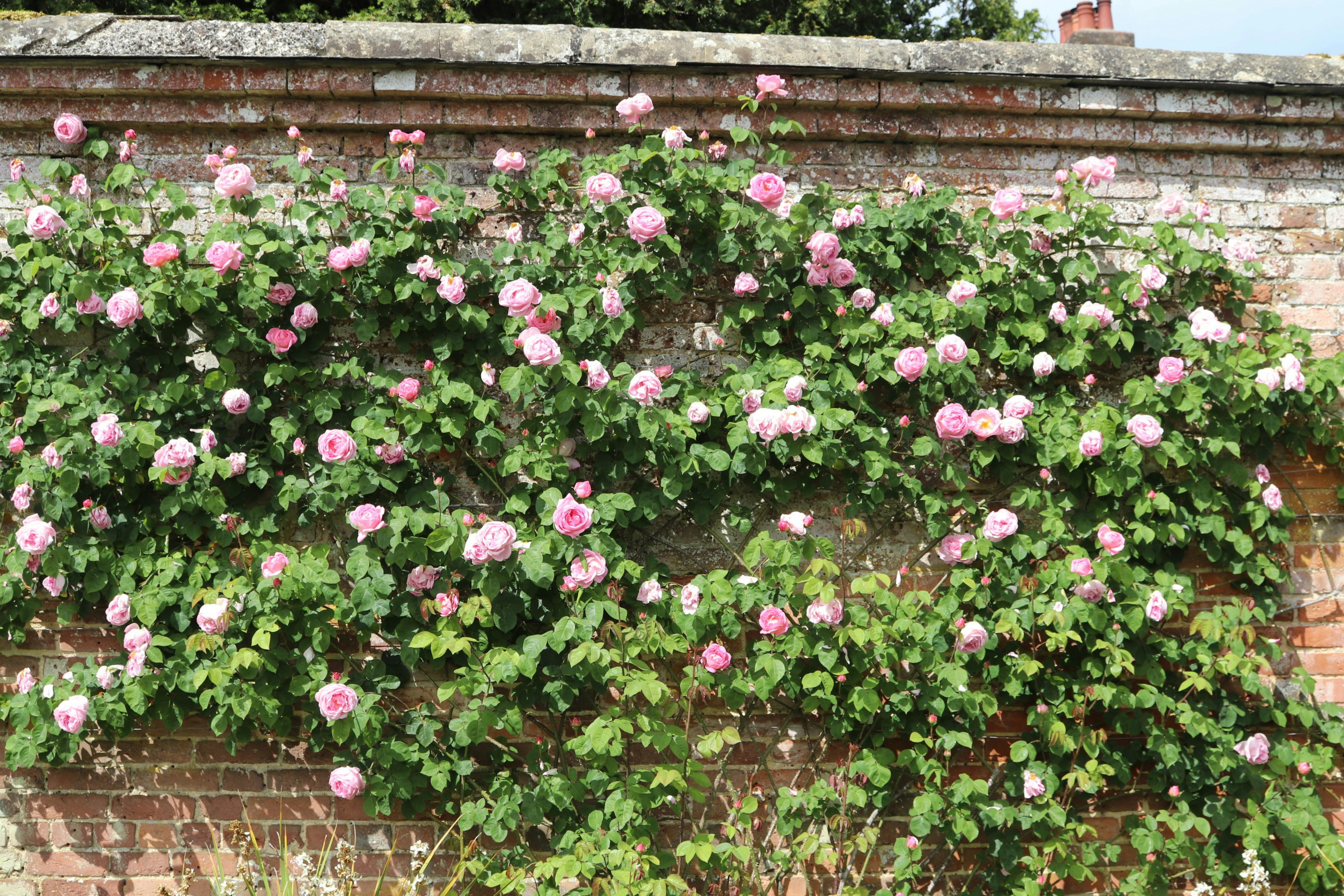 Photo by tanyabarrow