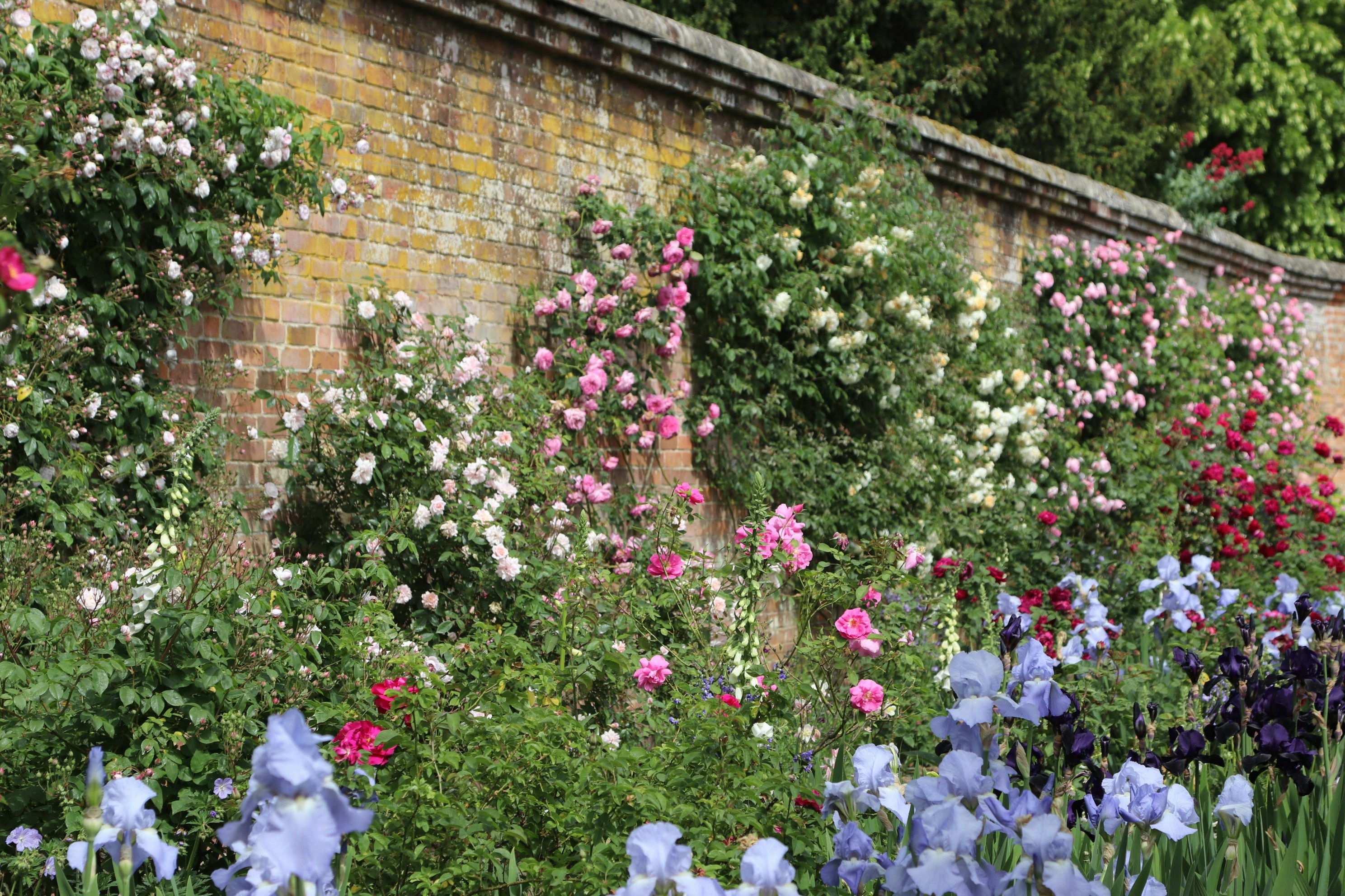 Photo by tanyabarrow