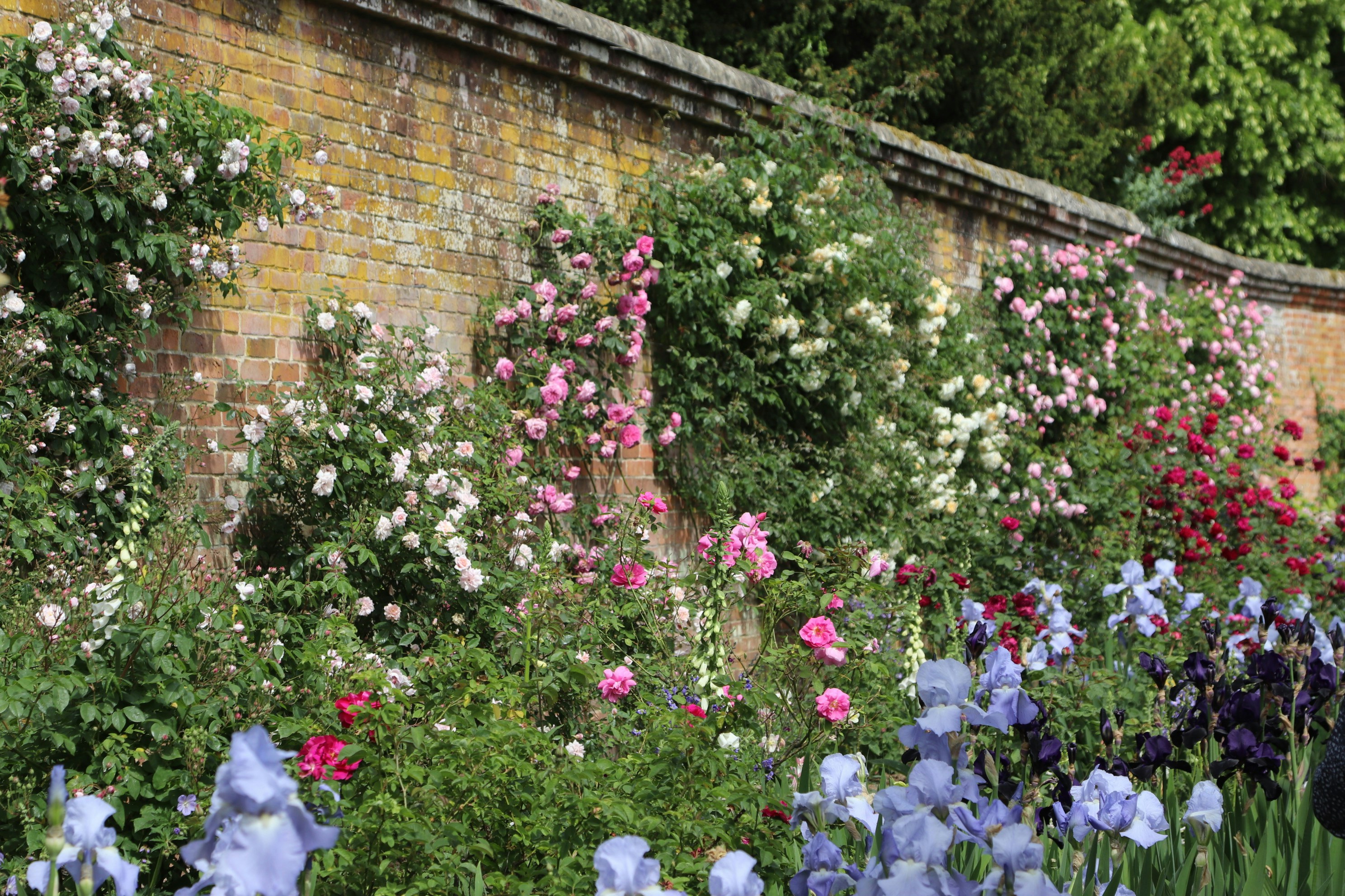 Photo by tanyabarrow