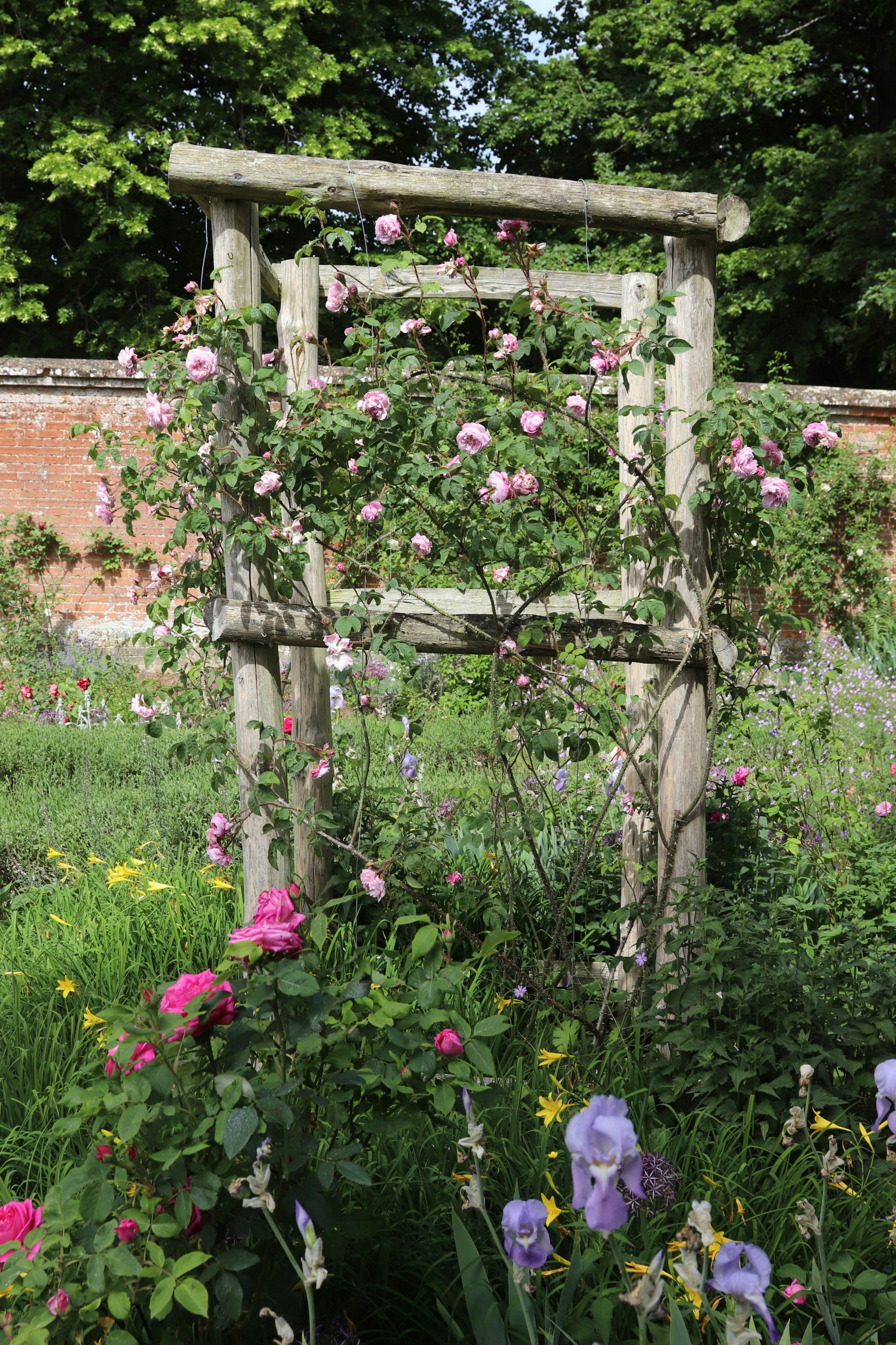 Photo by tanyabarrow