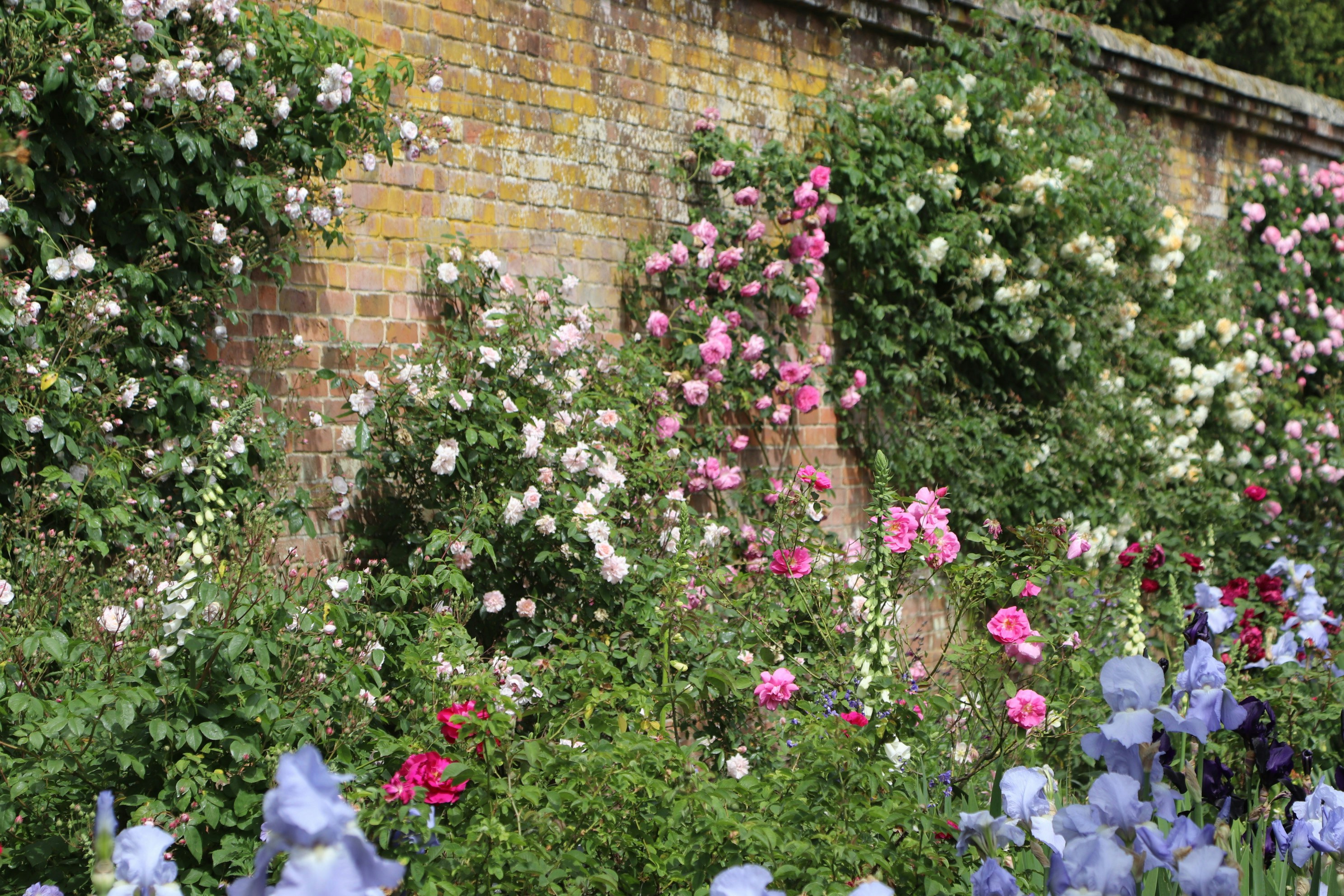 Photo by tanyabarrow