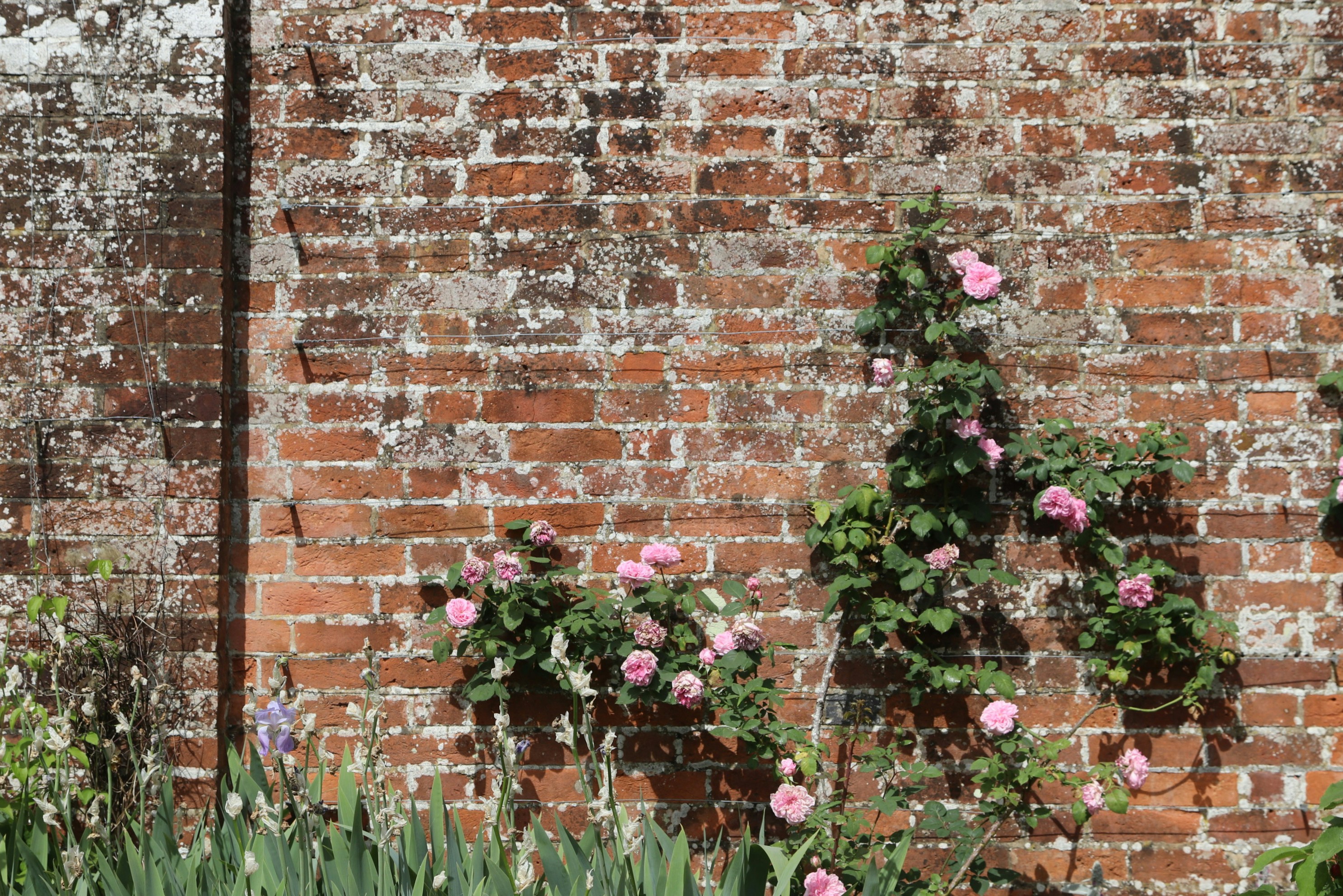 Photo by tanyabarrow