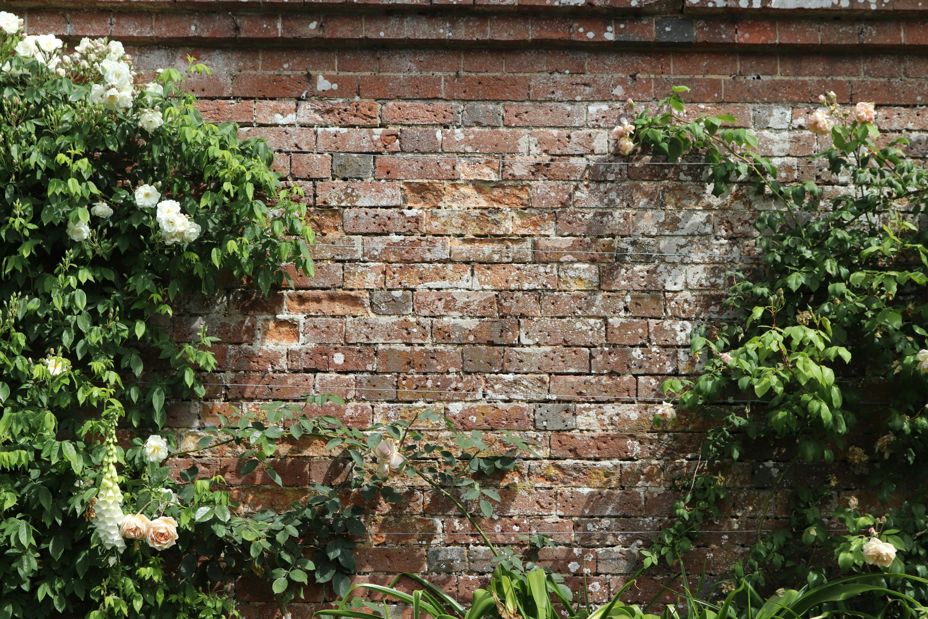 Photo by tanyabarrow