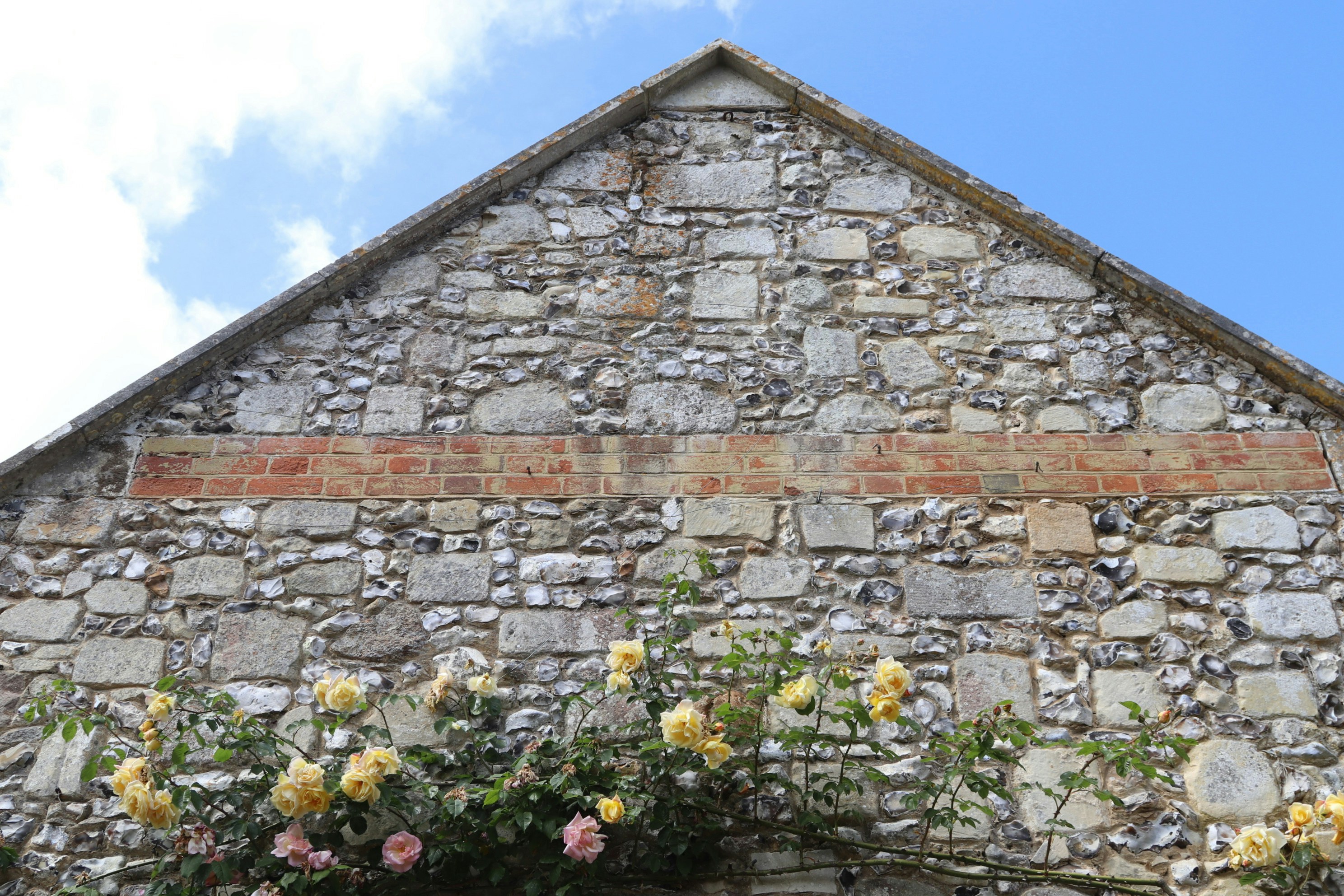 Photo by tanyabarrow