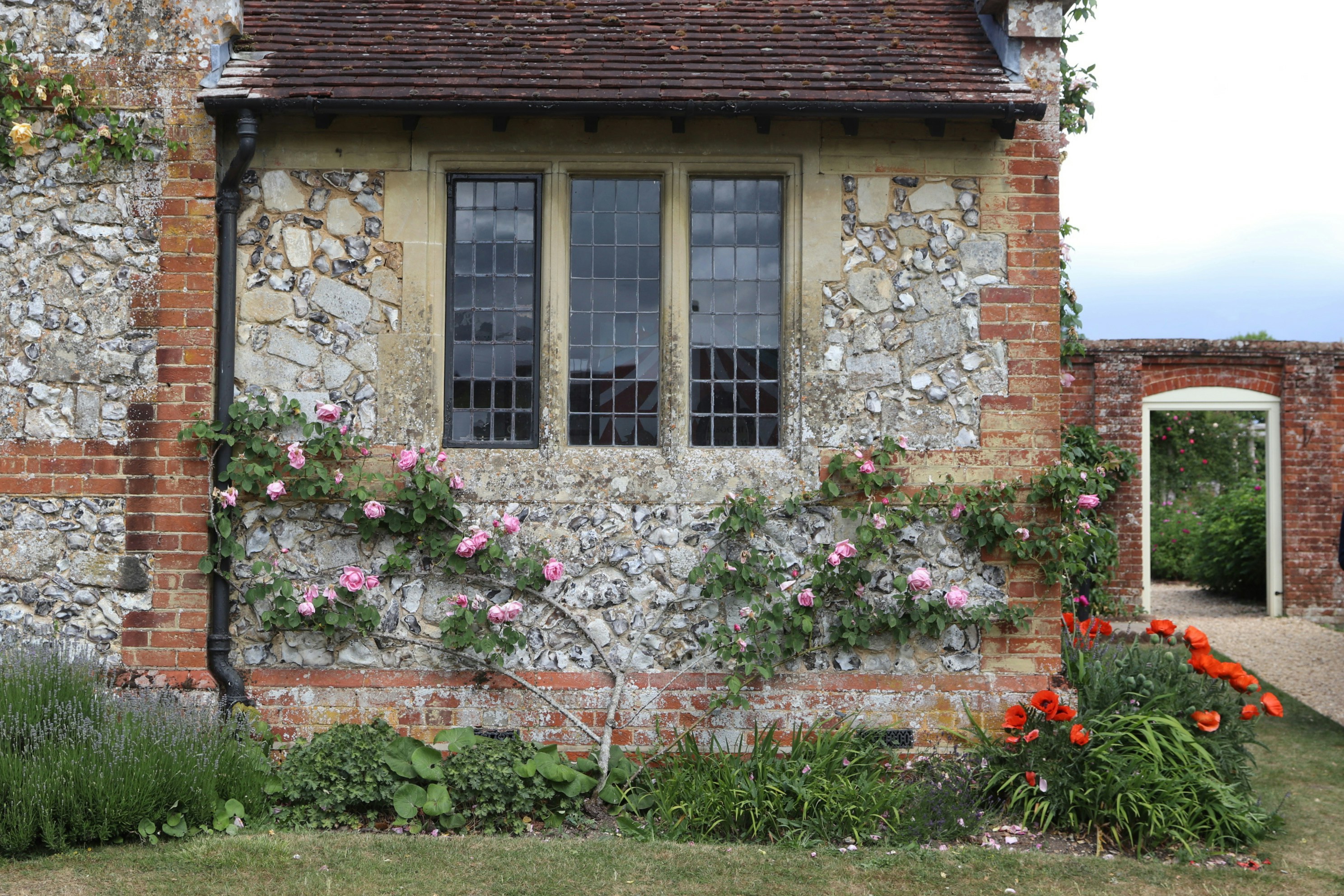 Photo by tanyabarrow