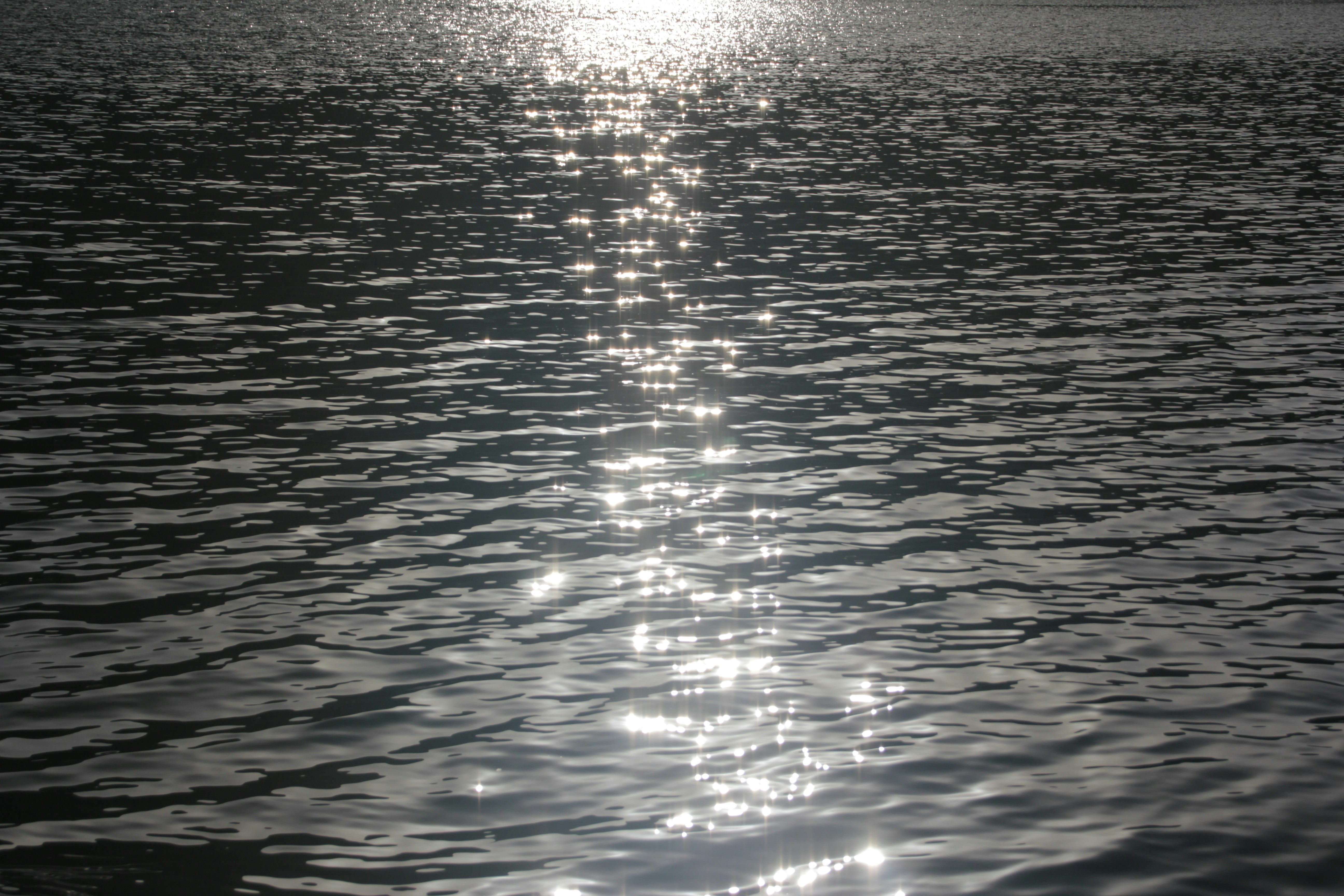 Photo by chocolate_milk_denmark