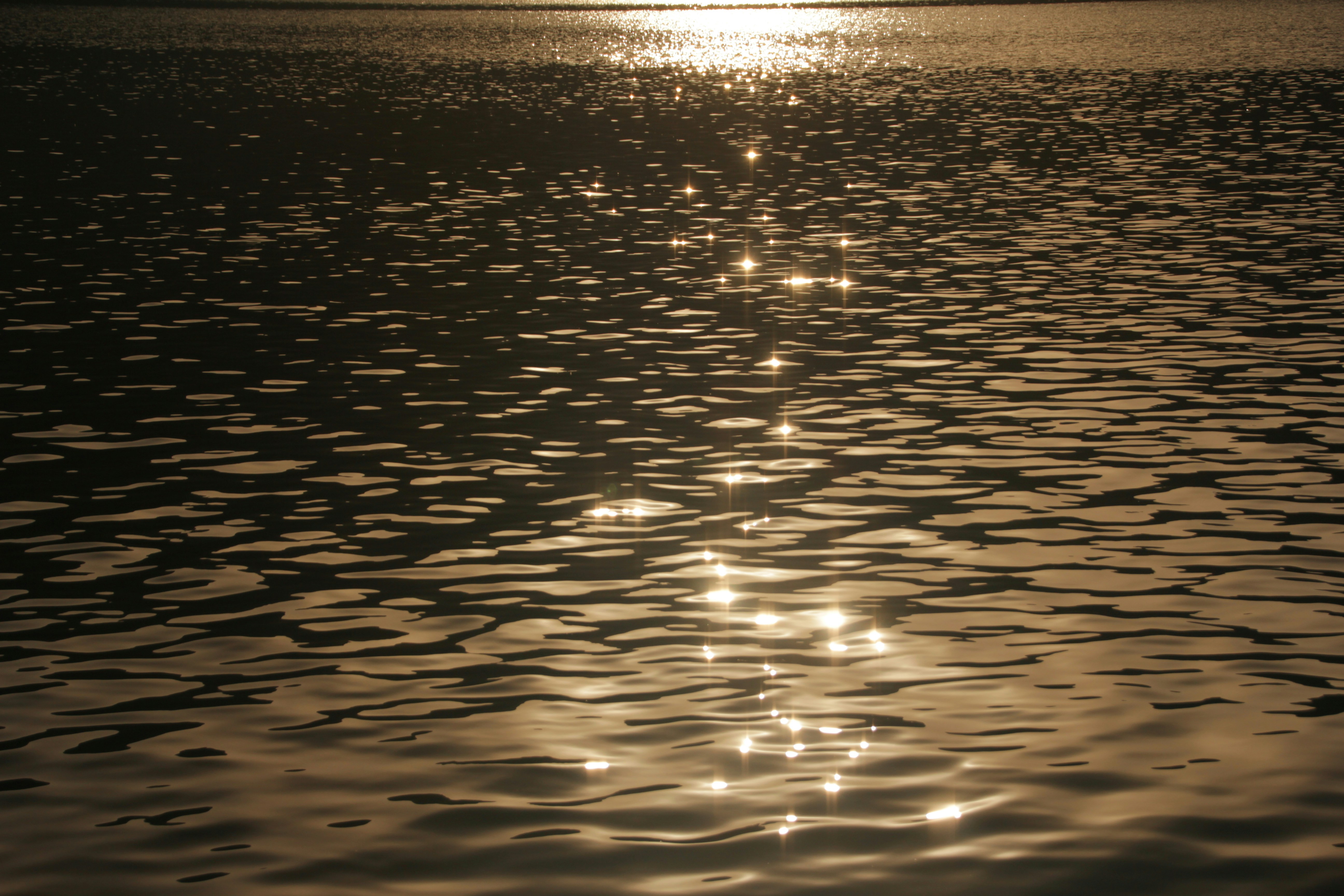 Photo by chocolate_milk_denmark