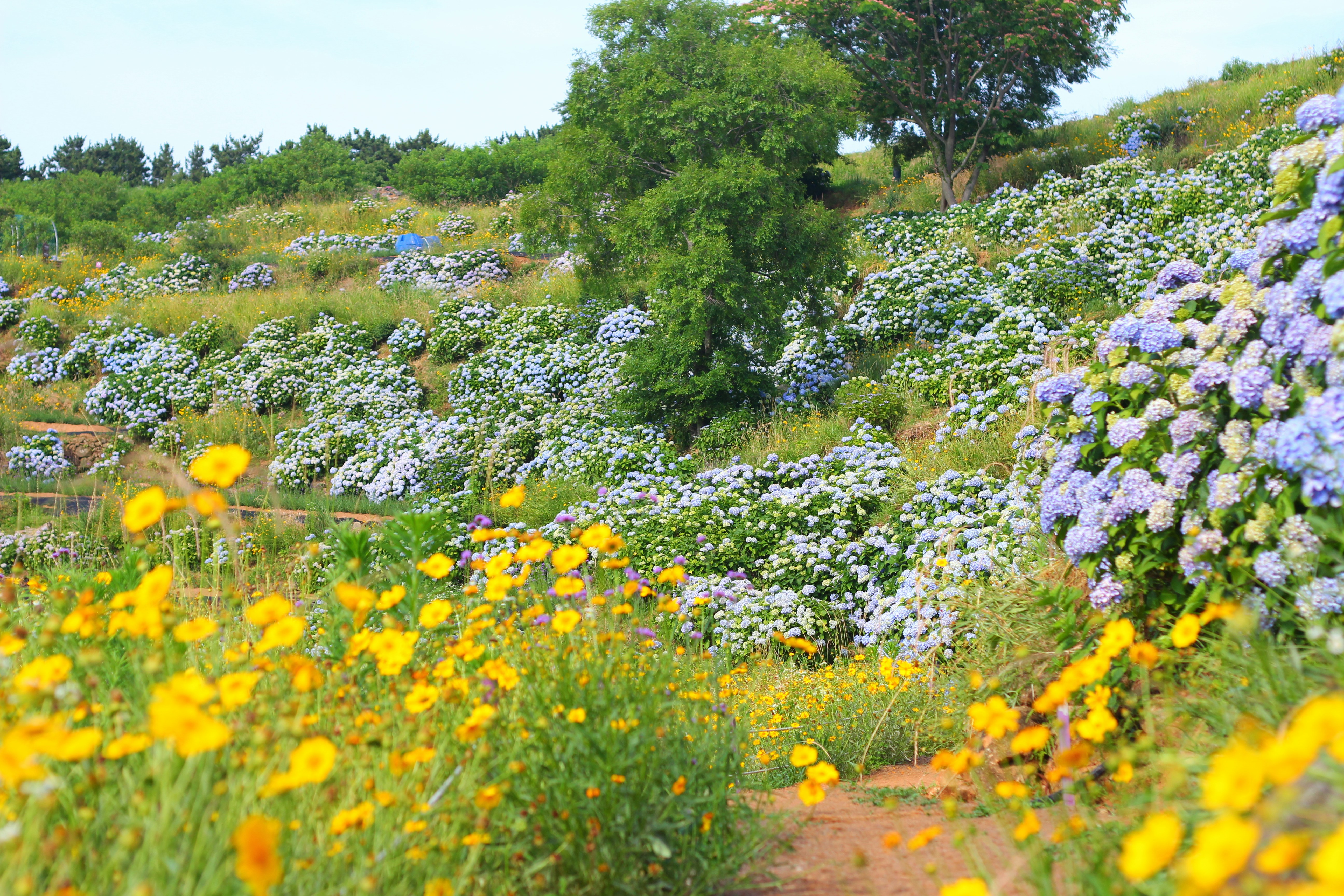 Photo by chocolate_milk_denmark