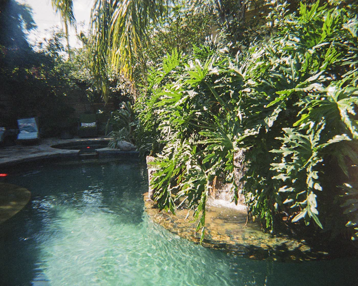 Luxury Hotels And Resorts