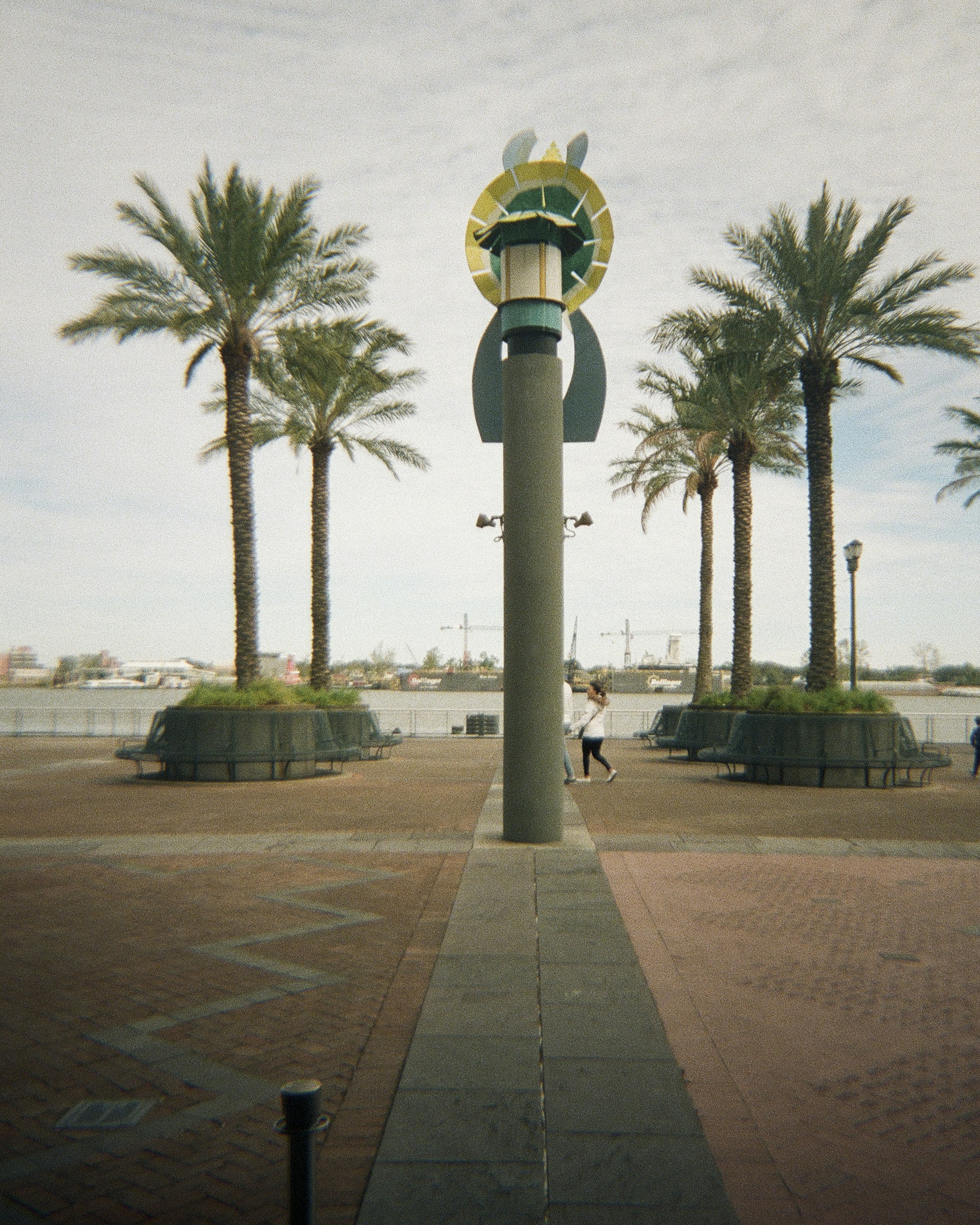 Palm trees and a lamp post line a walkway.