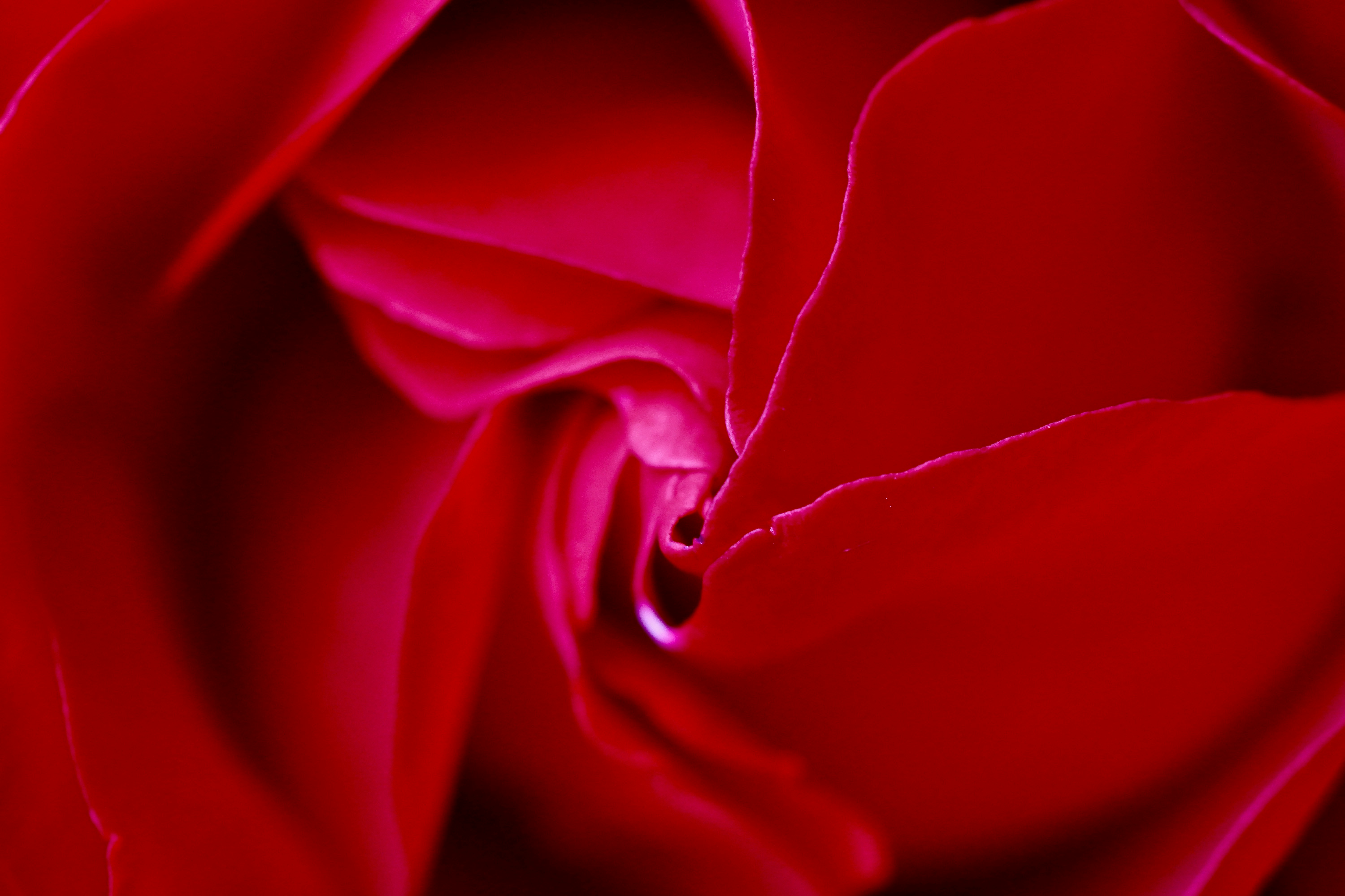 Photo by peterburdon