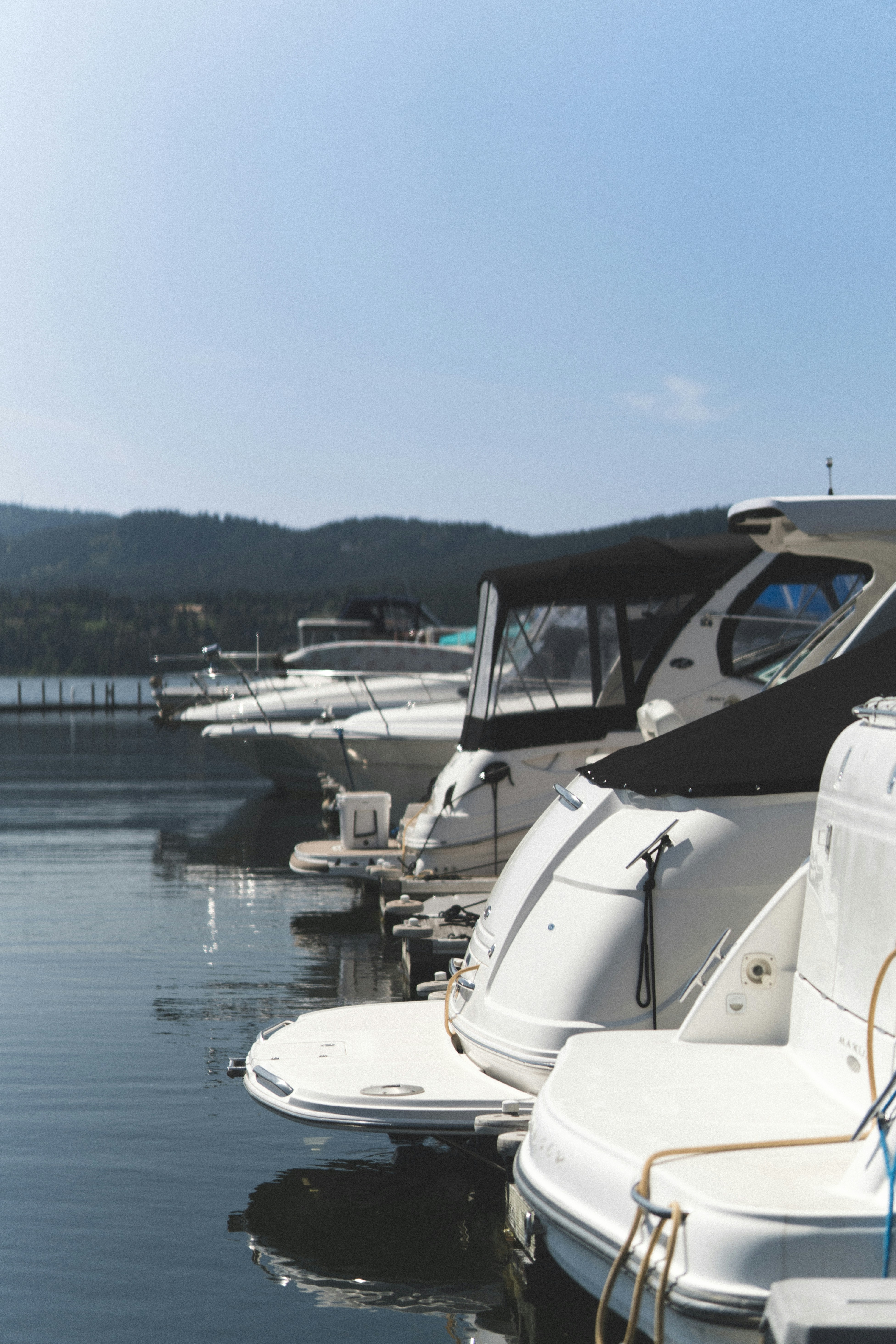 Boote legten an einem sonnigen Tag in einem Yachthafen an.