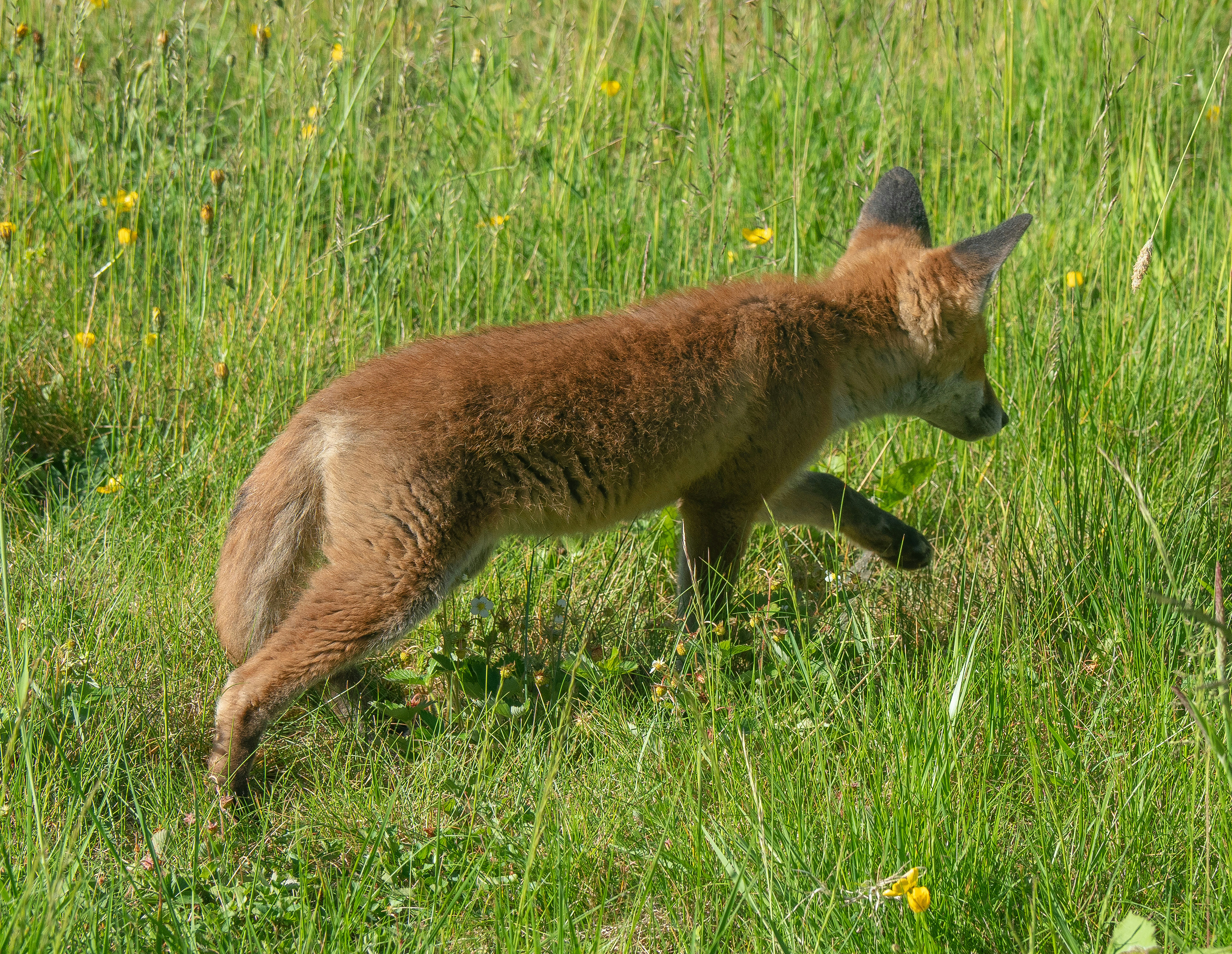 Photo by brett_jordan