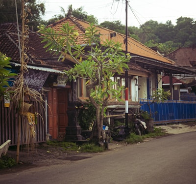 20 Pemutaran Film Desa