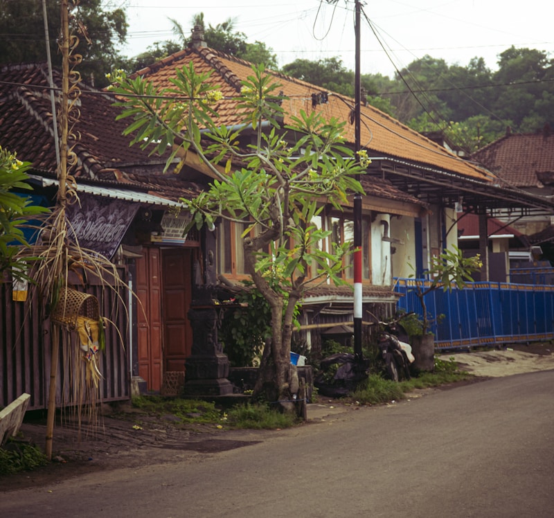 Pemutaran film di halaman desa