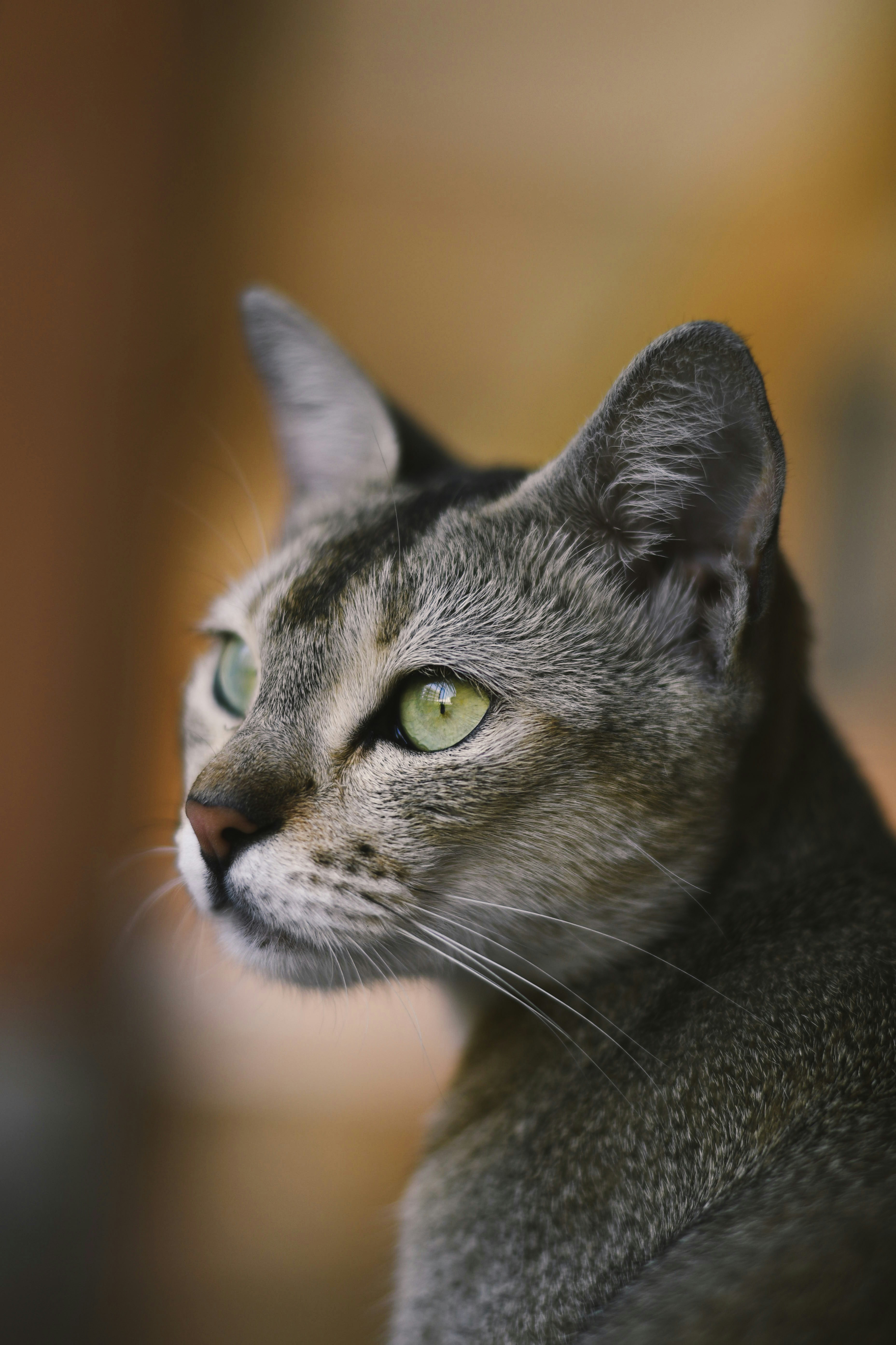 Photo by capturedbysarthak