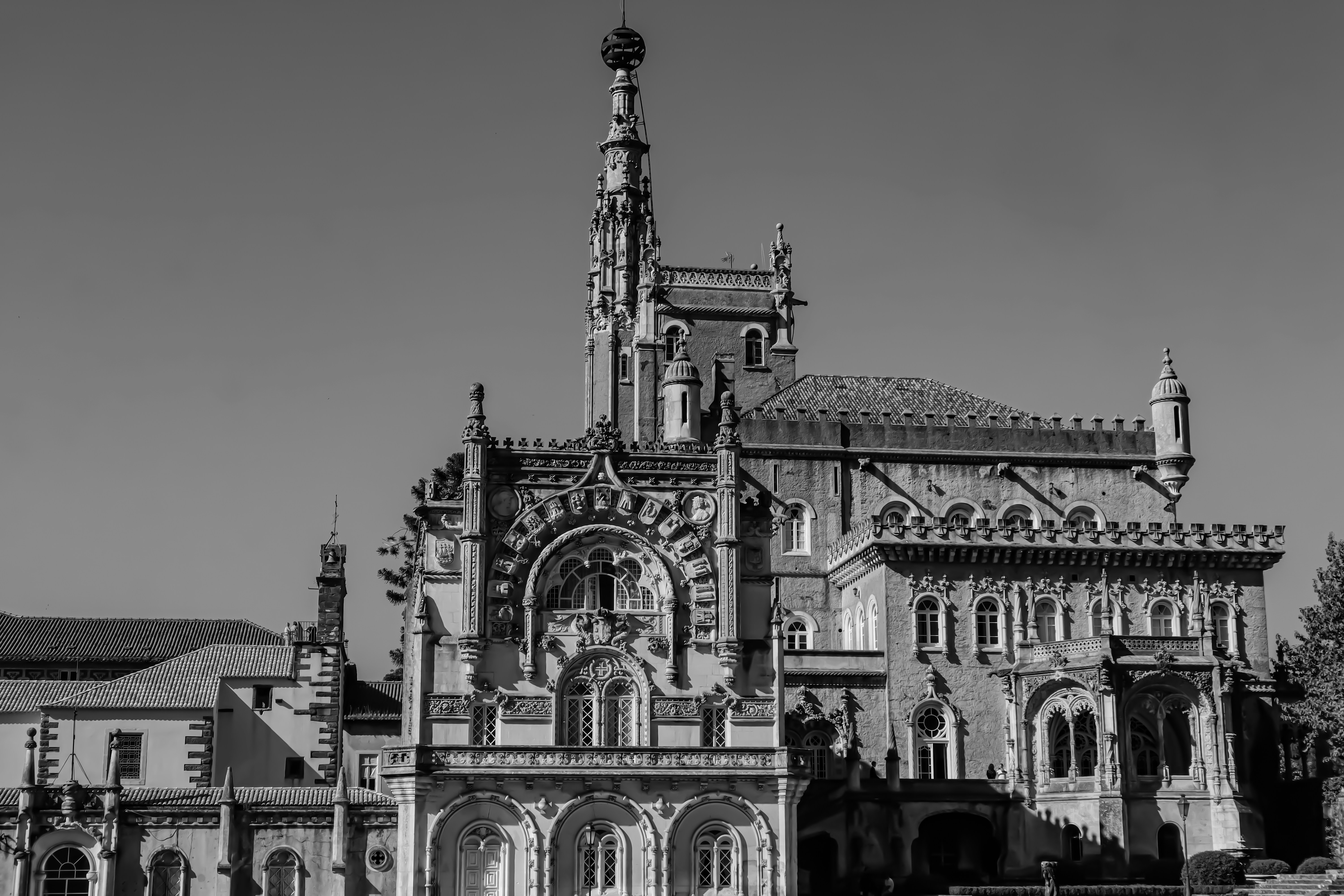 Photo by wendell_adriel