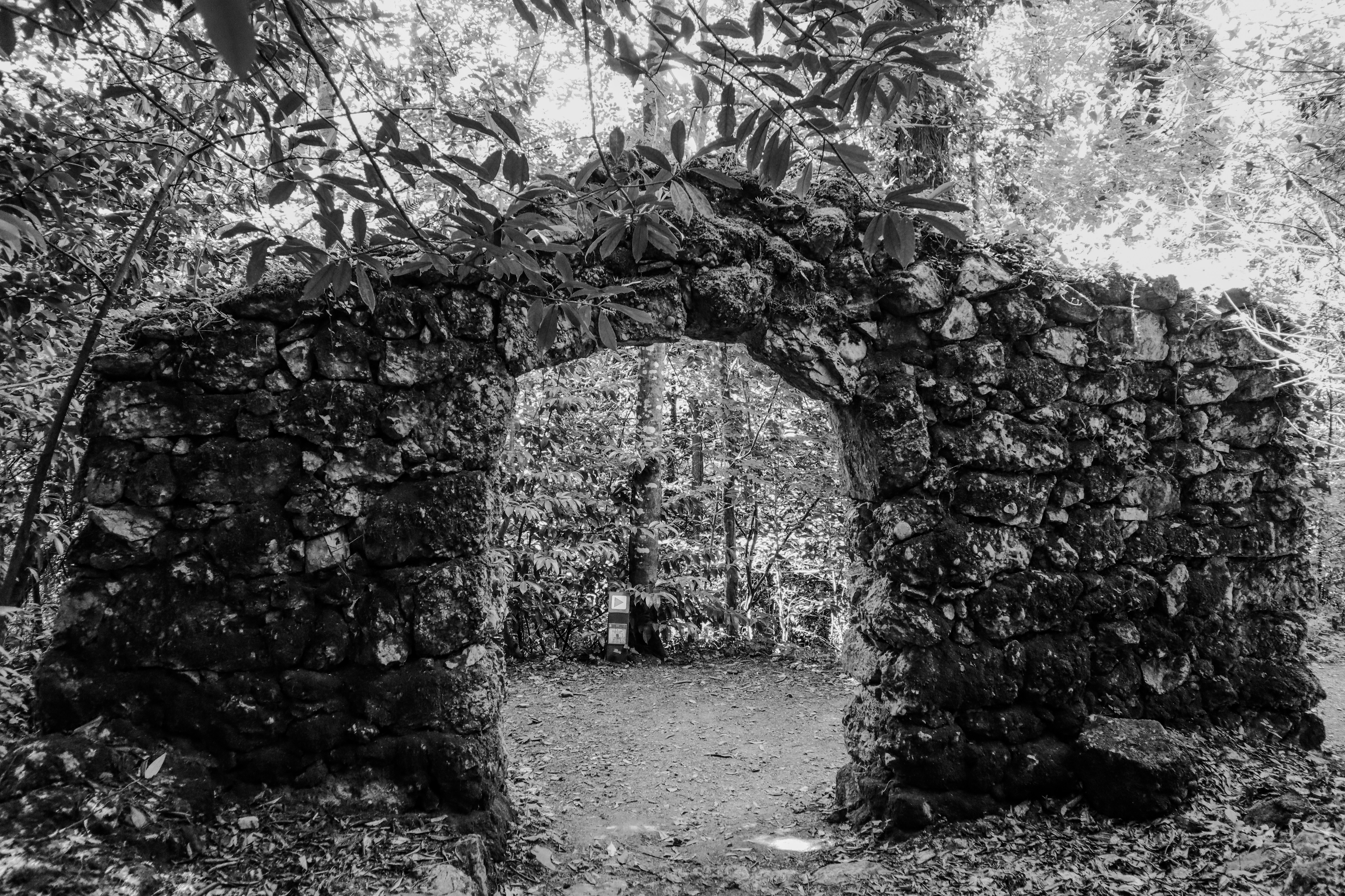 photo-1748279190674-d7cdf3f6d129?ixid=M3wxMjA3fDB8MXxzZWFyY2h8MTJ8fGJhbGR1ciUyN3MlMjBnYXRlJTIwMyUyMHNwZWxscyUyMGd1aWRlfGVufDB8fHx8MTc3MjA5NjkyMHww\u0026ixlib=rb-4.1.0