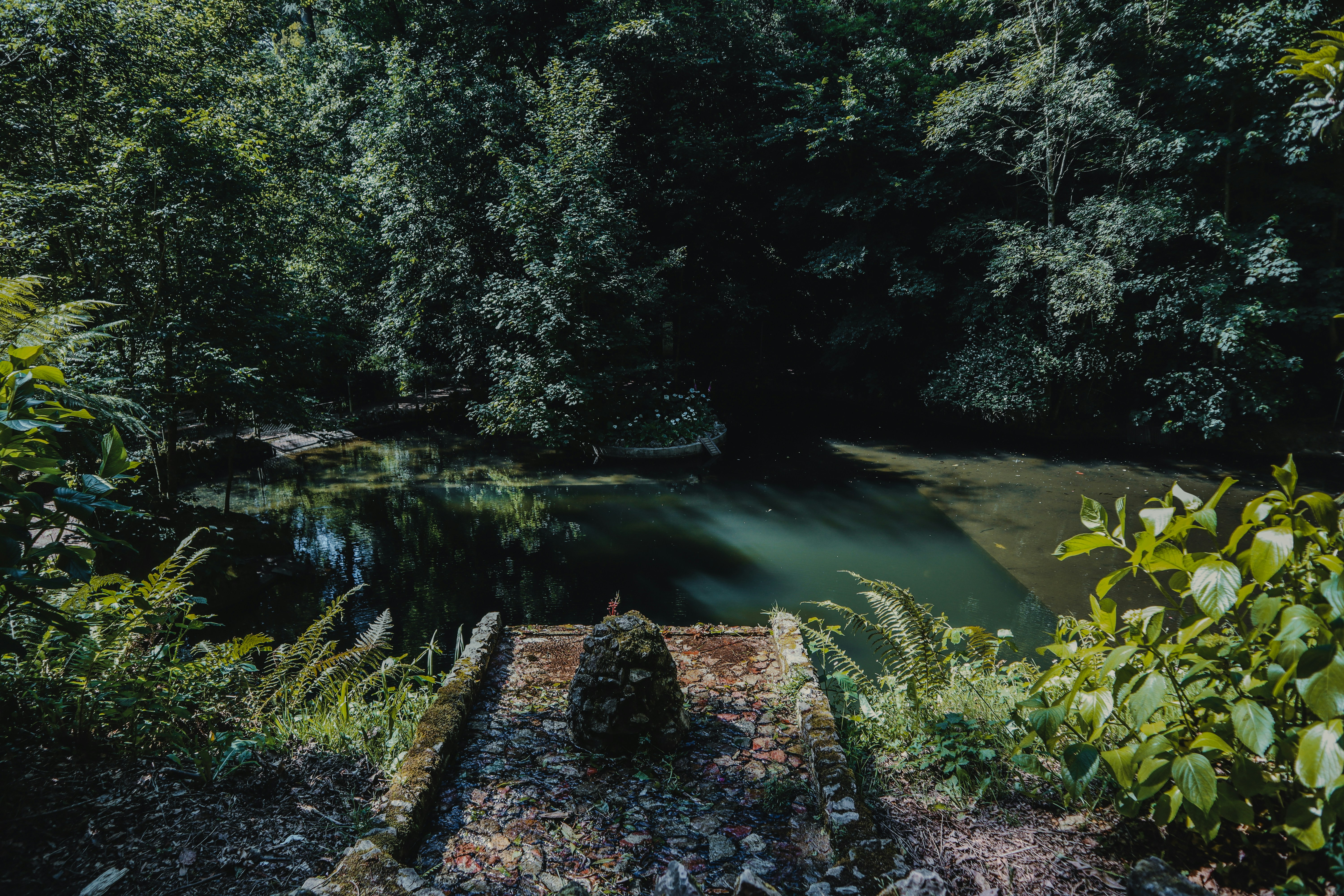 Photo by wendell_adriel