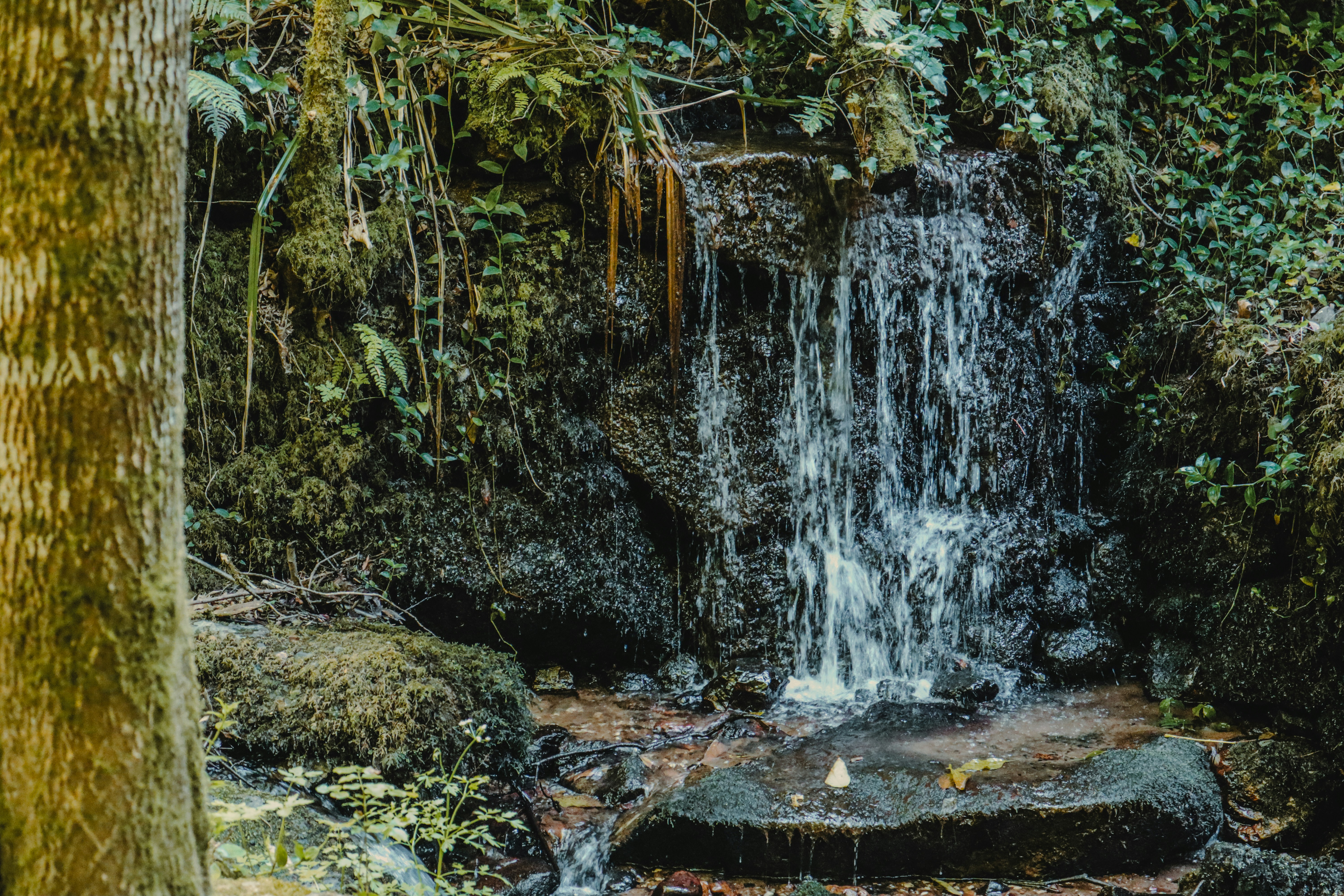 Photo by wendell_adriel