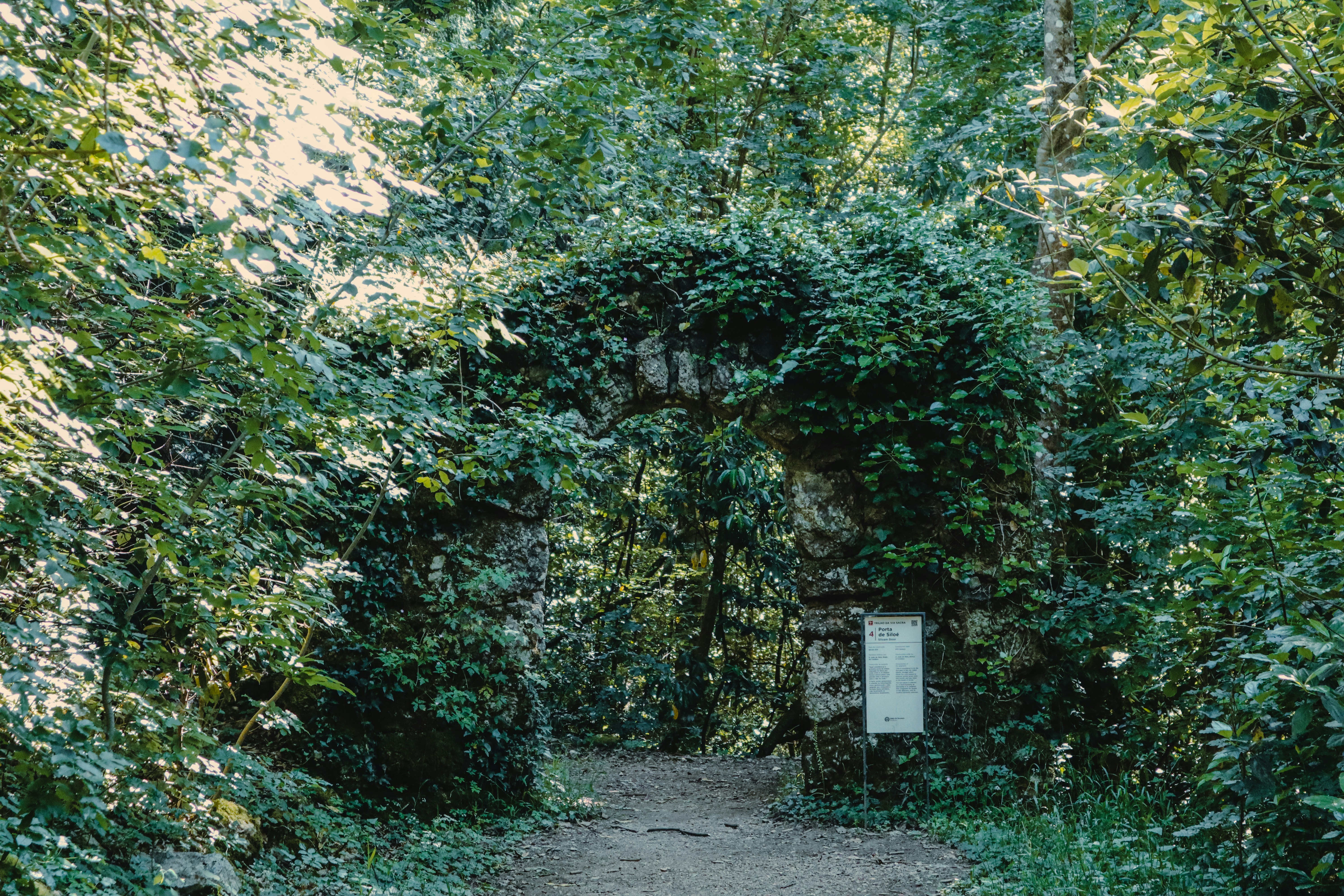 An ivy-covered stone arch leads into a forest.
