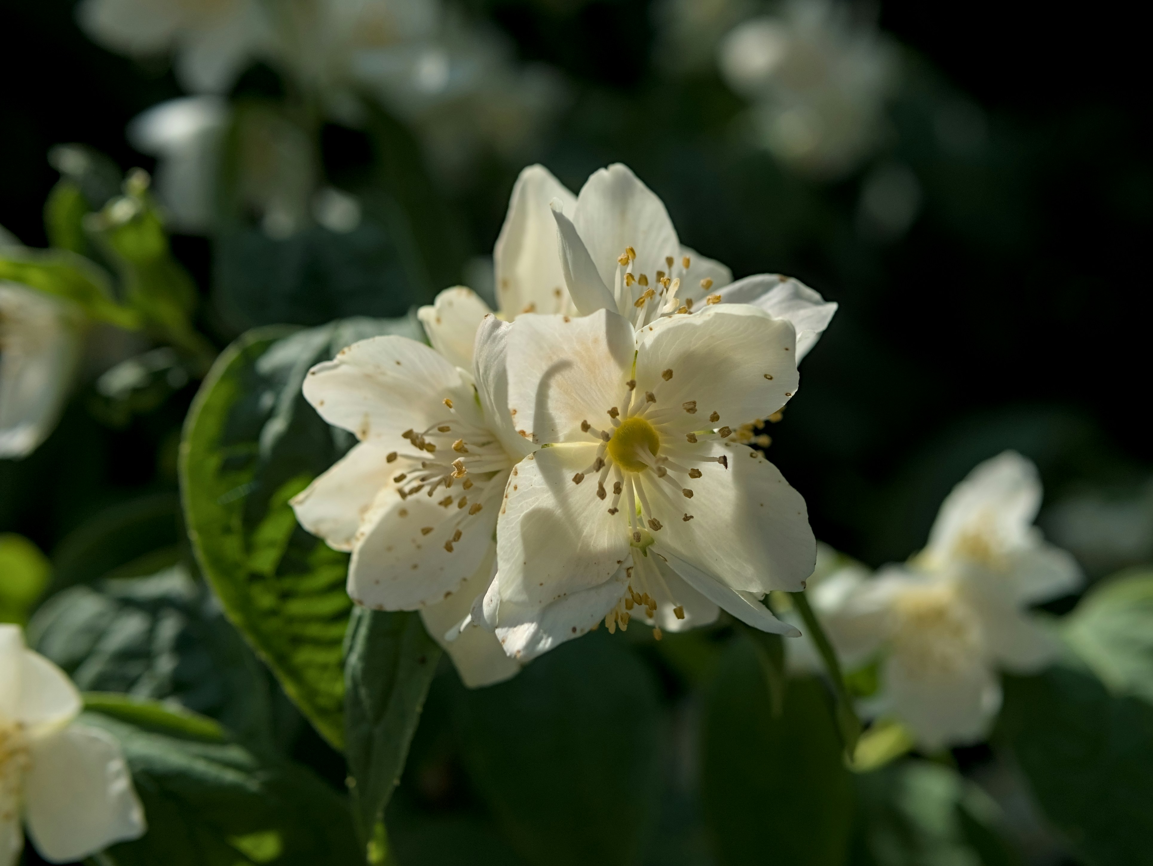 Photo by piotr121270