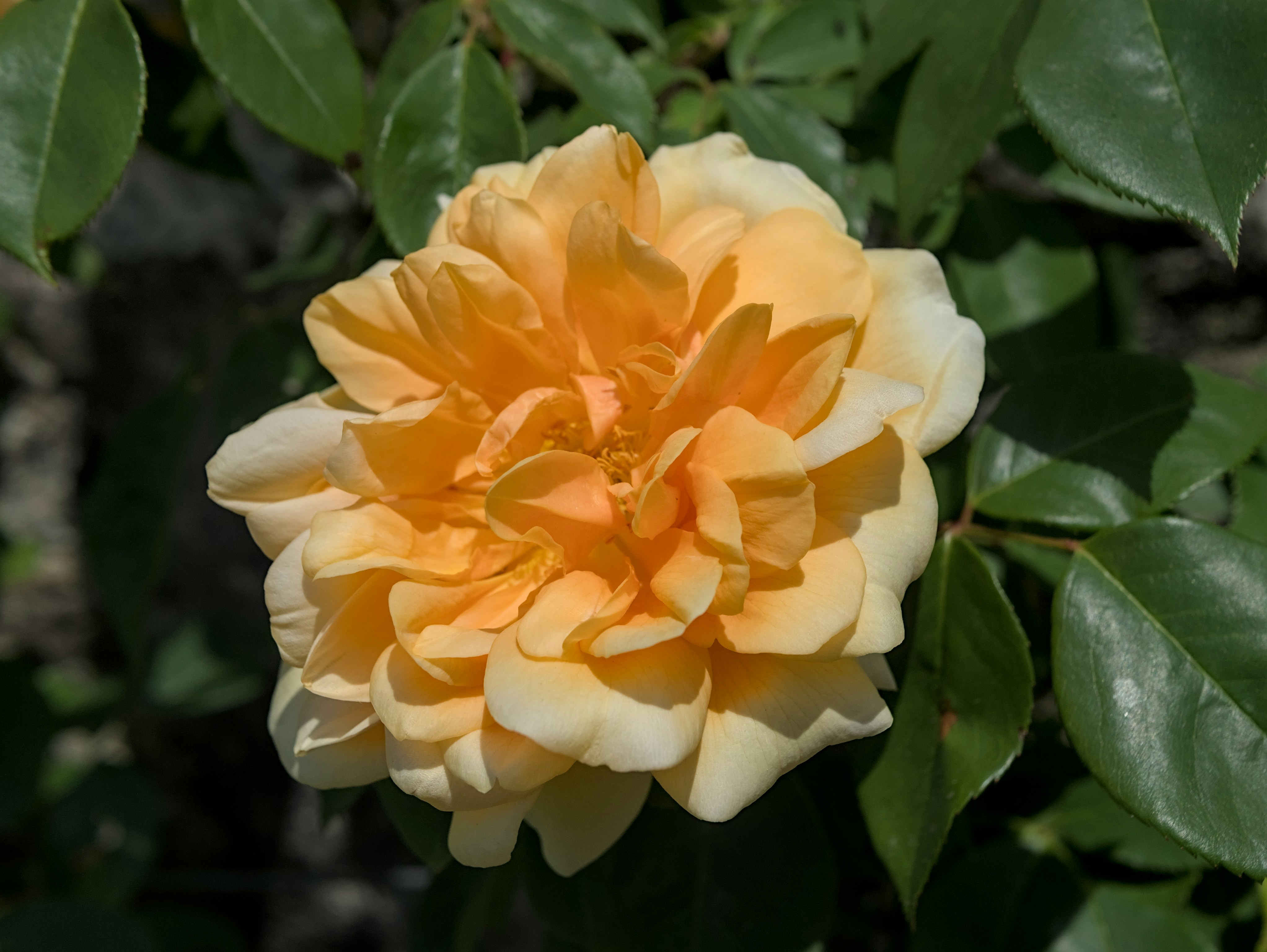 Photo by piotr121270