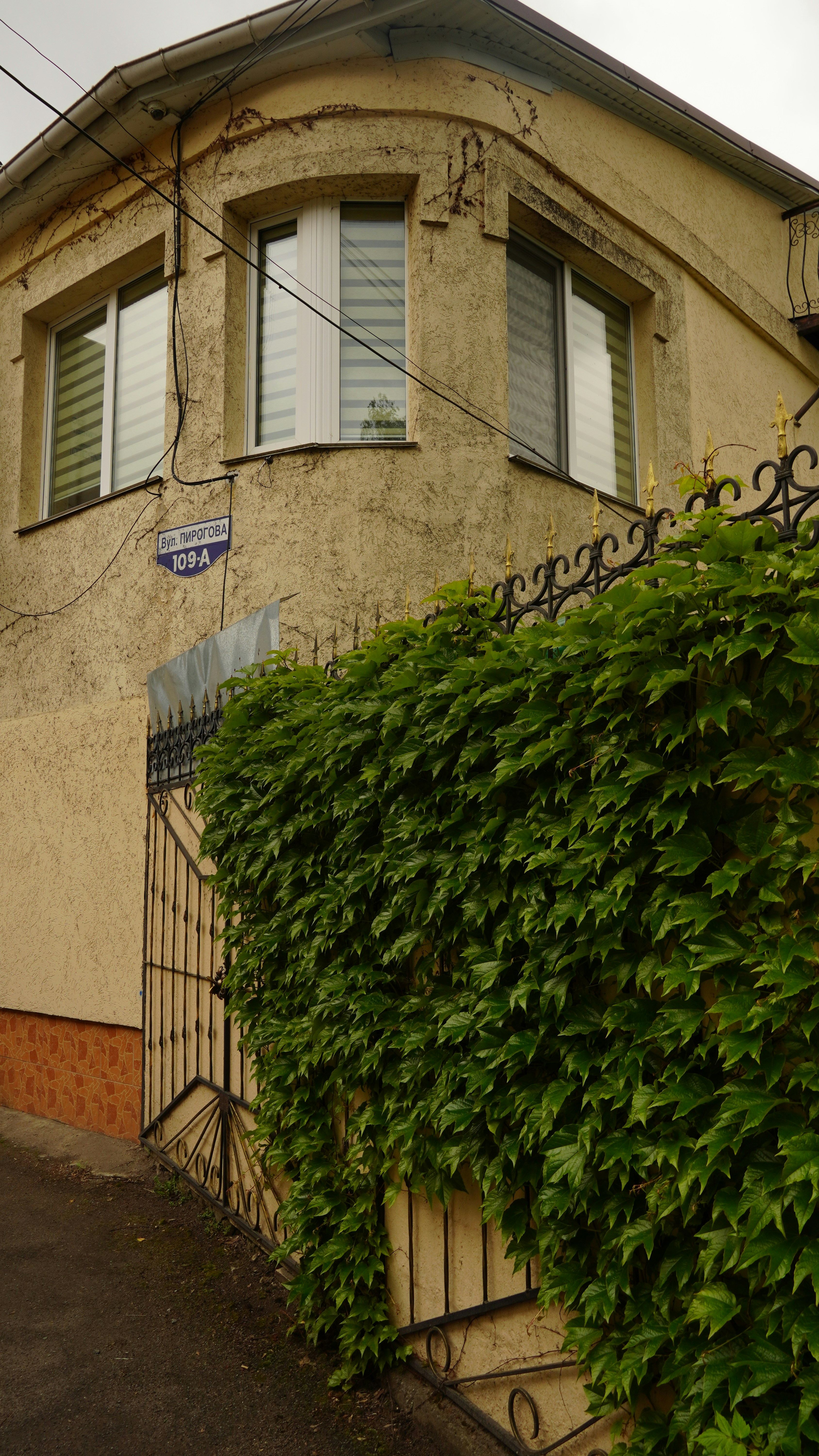 Photo by oleksandra_sereda