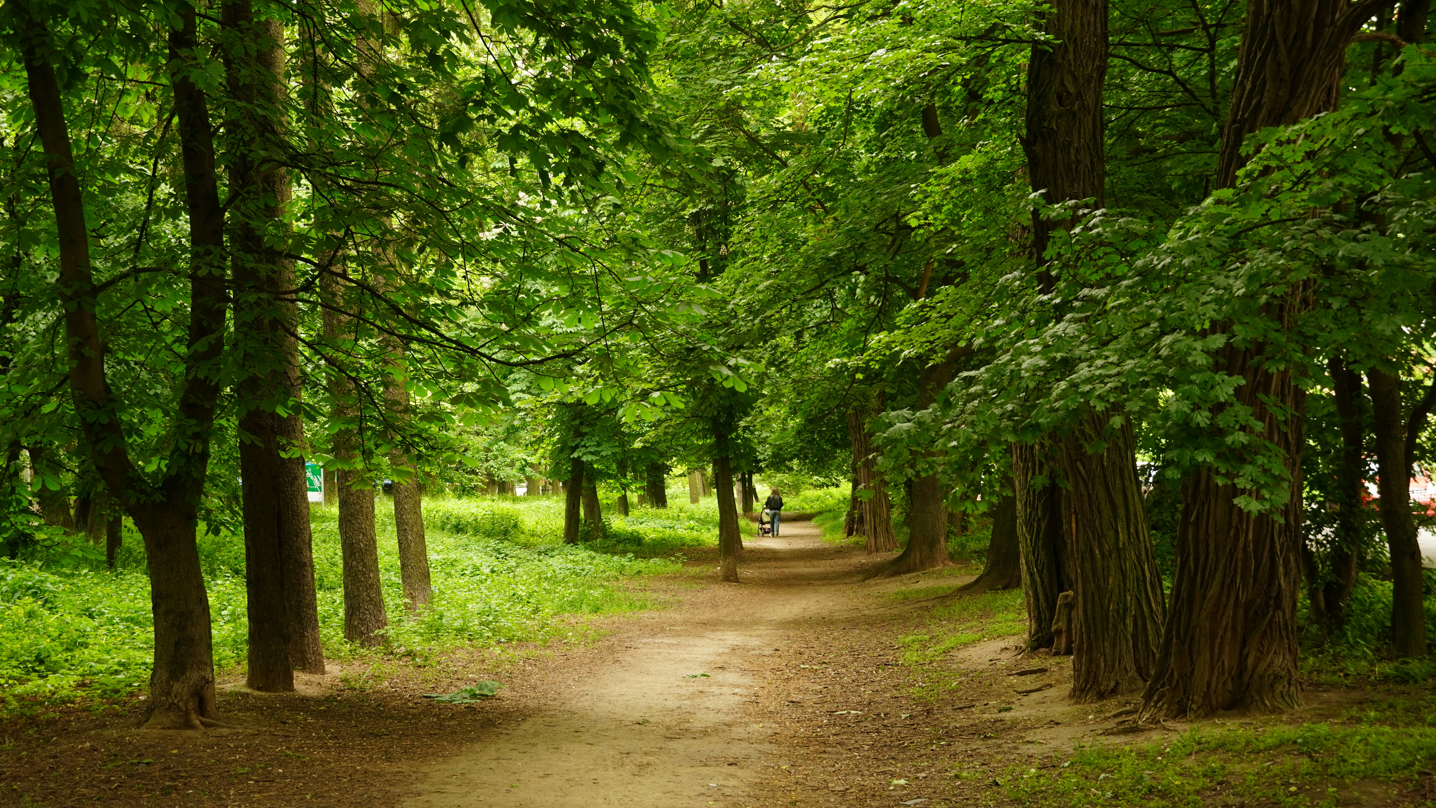 Photo by oleksandra_sereda