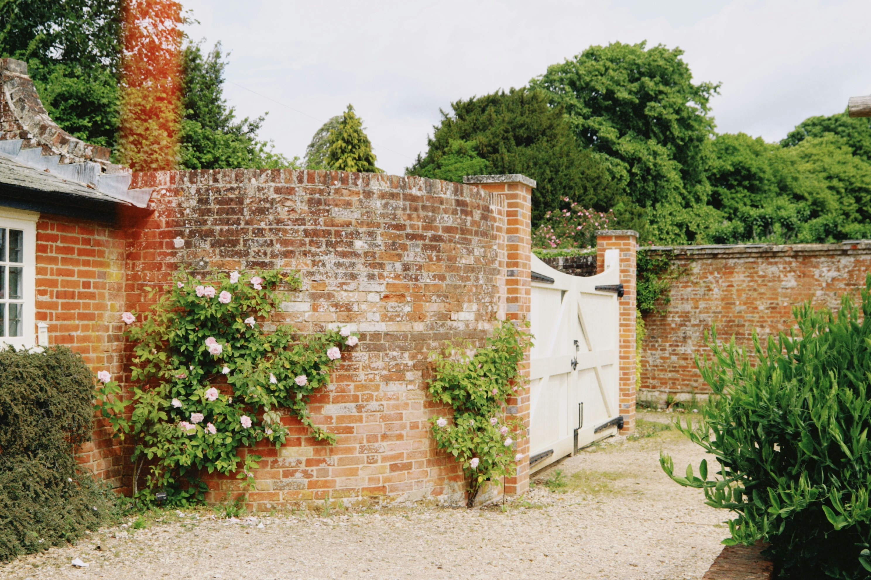 Photo by tanyabarrow