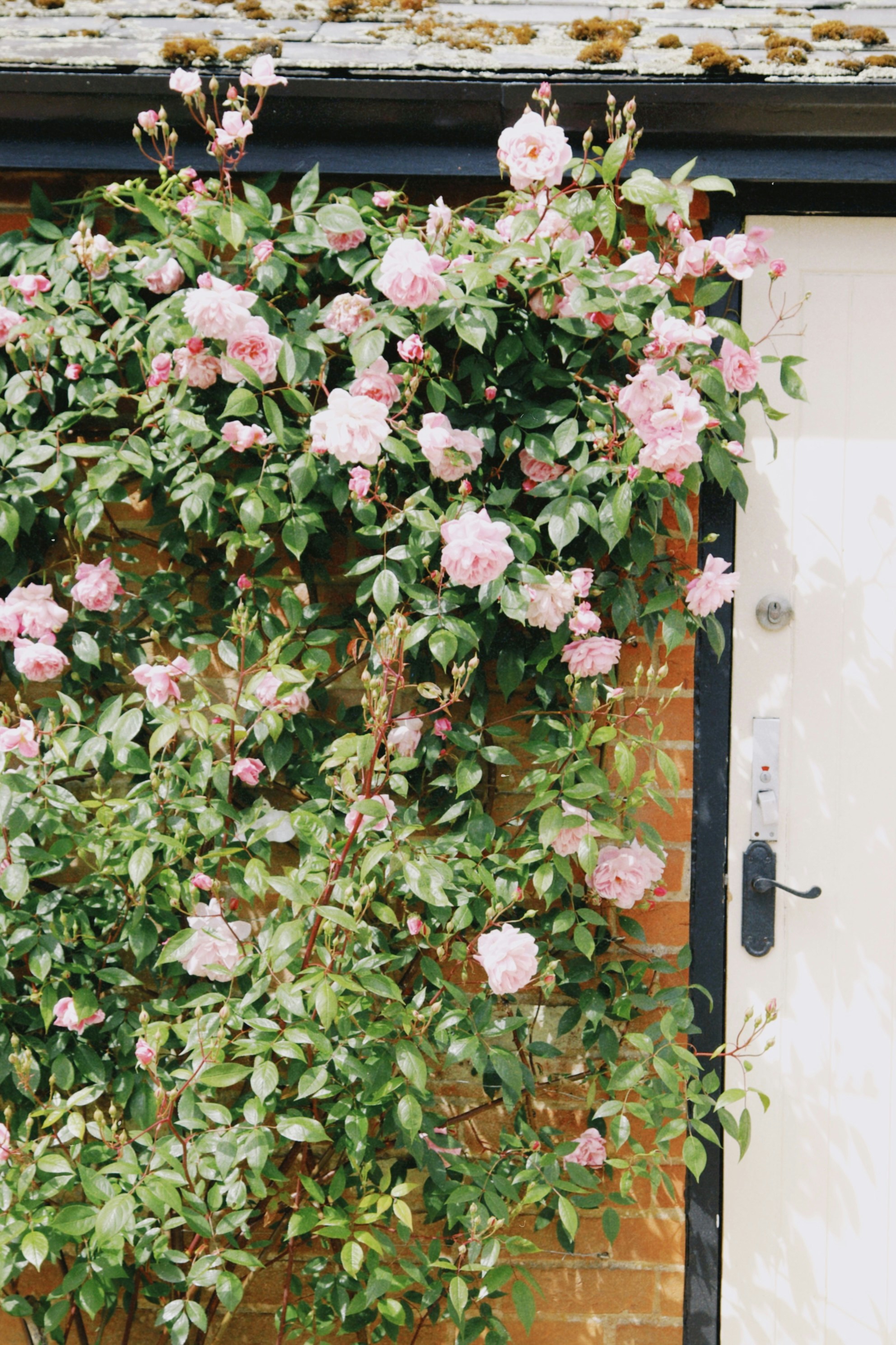 Photo by tanyabarrow