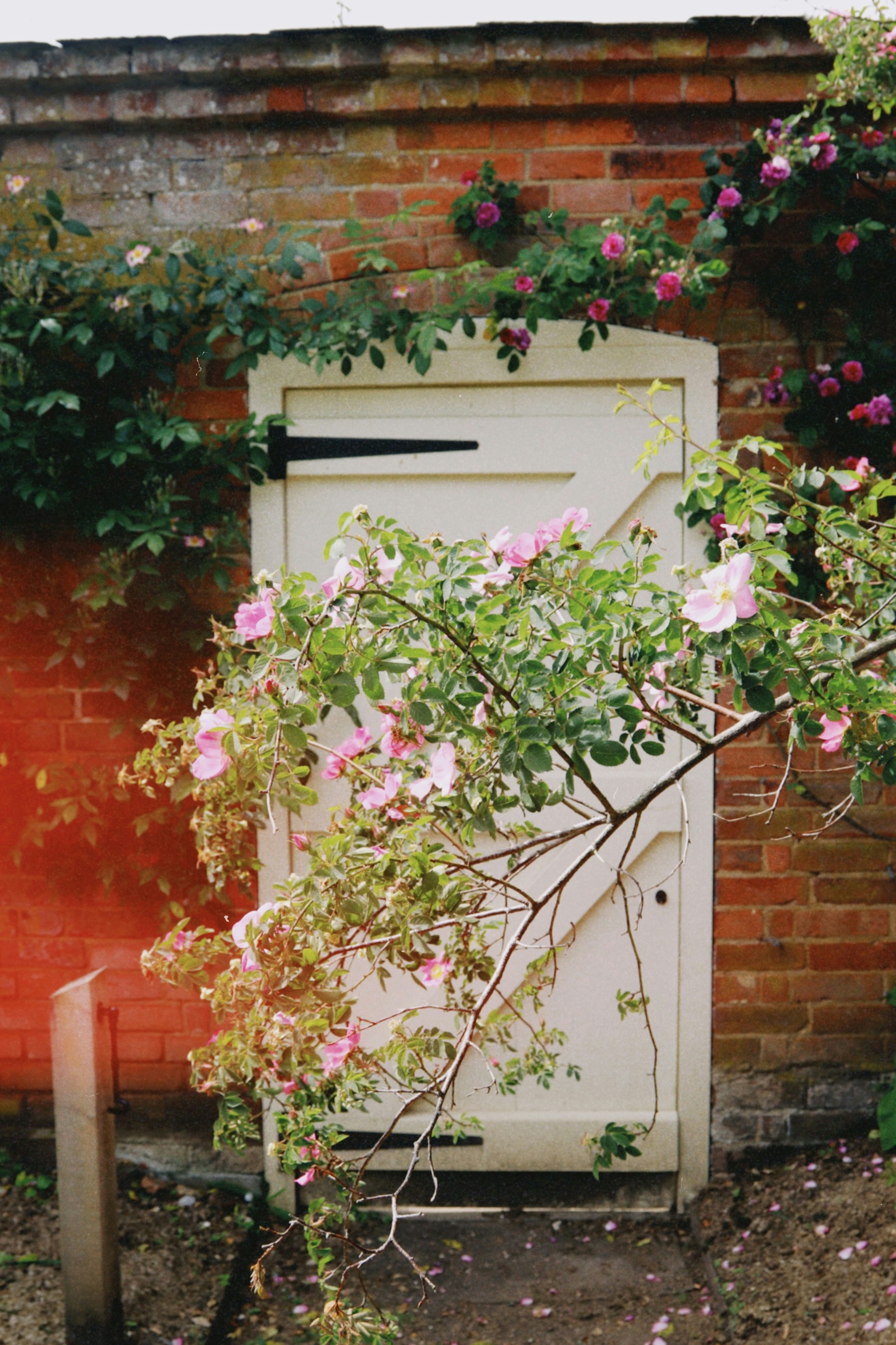 Photo by tanyabarrow