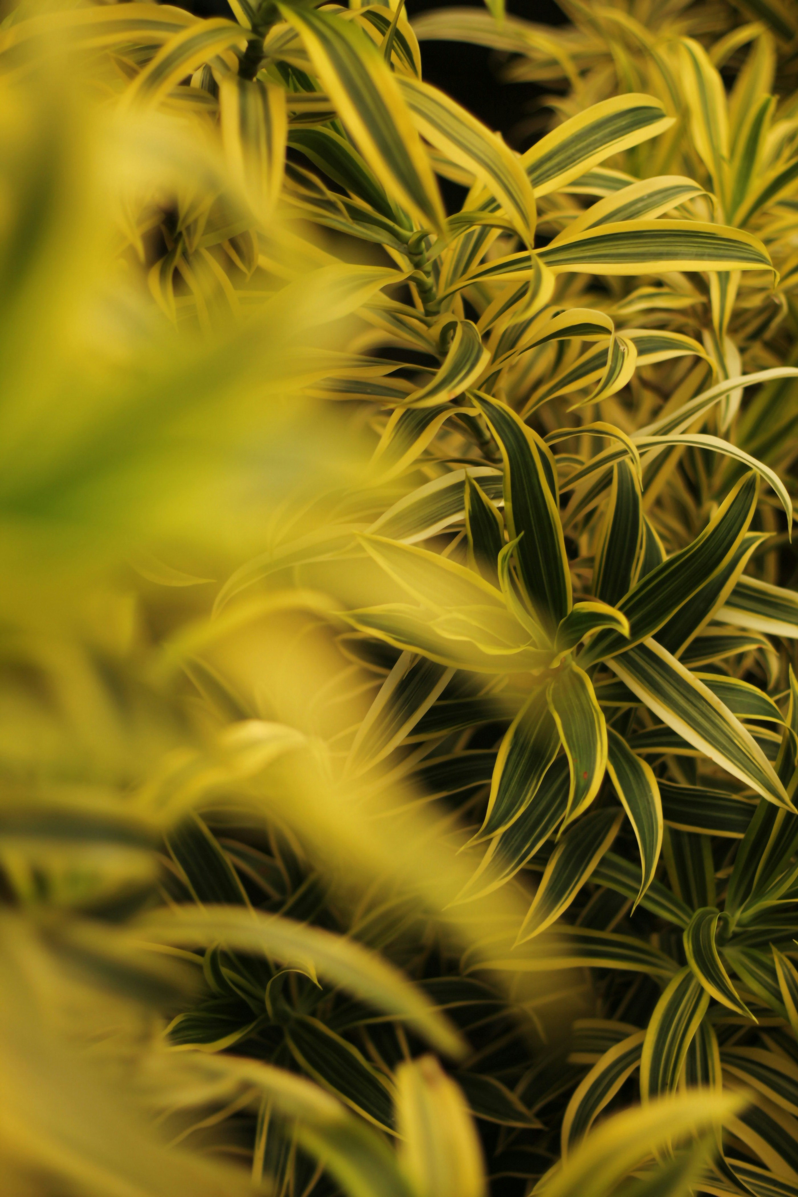 Photo by helenmichielin