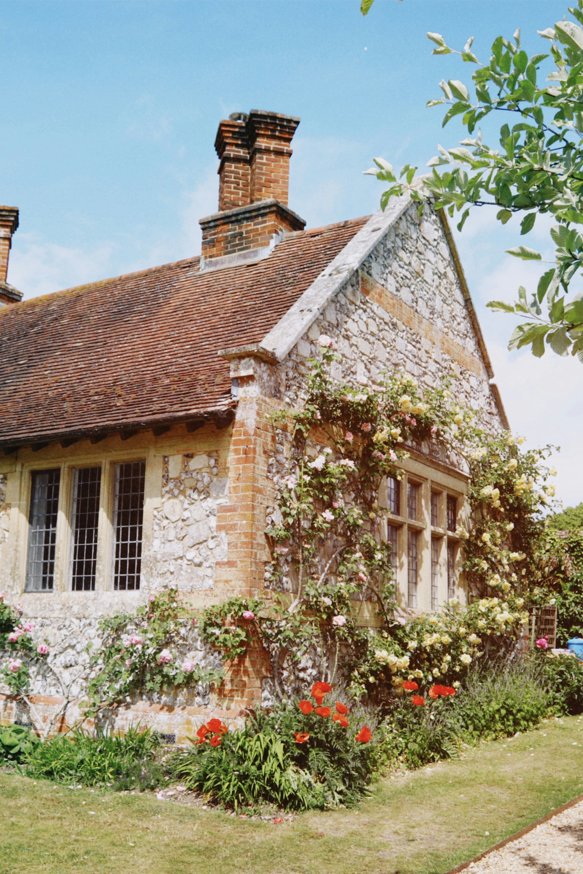 Photo by tanyabarrow