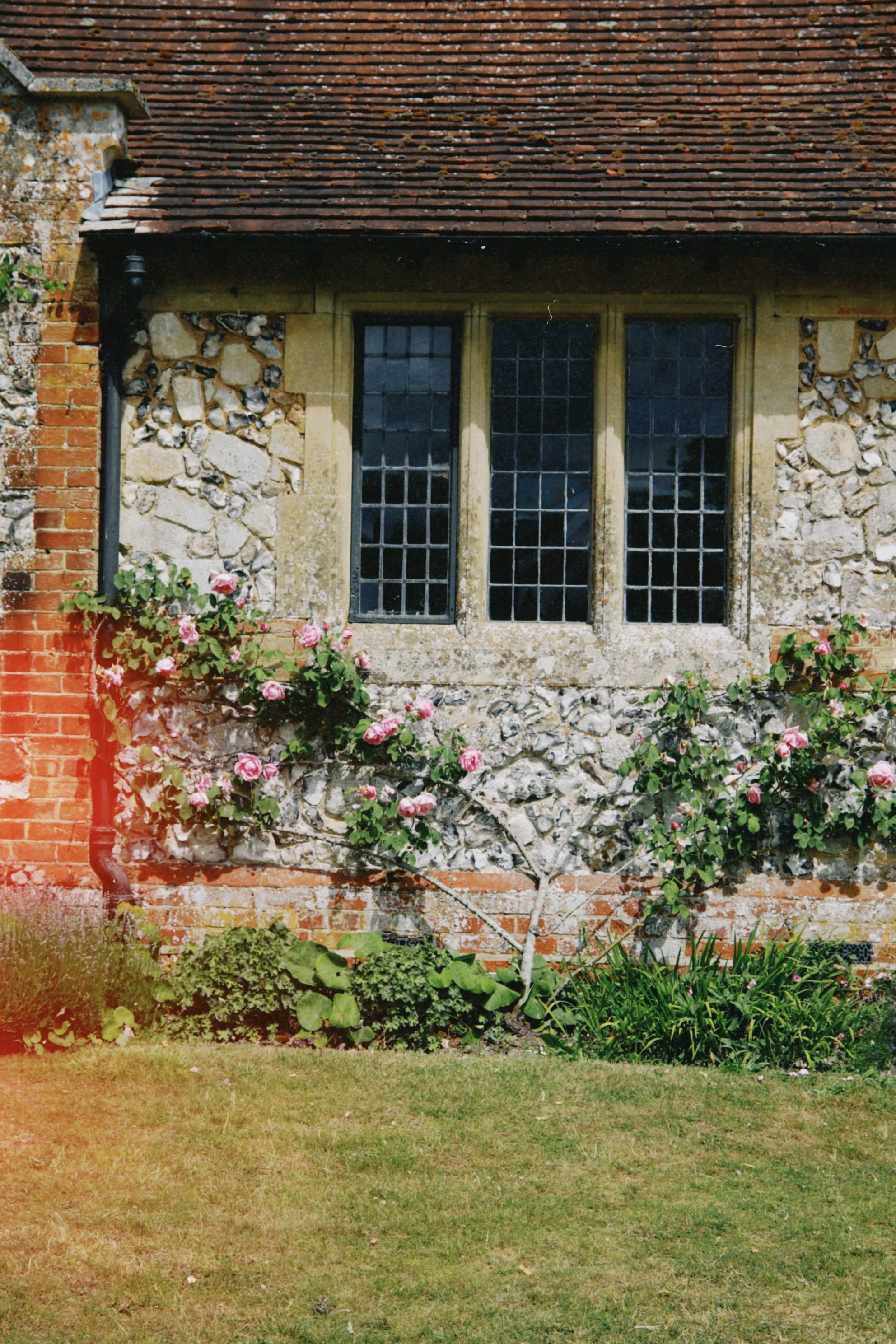 Photo by tanyabarrow