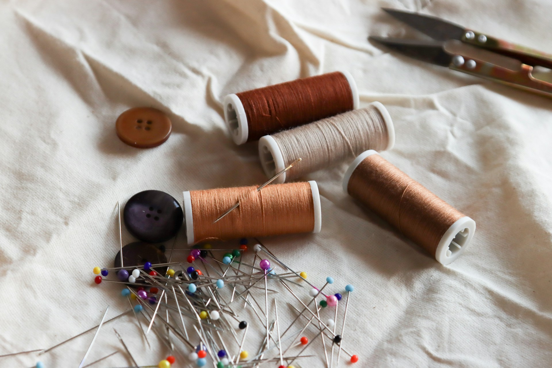 Sewing supplies are arranged on fabric.
