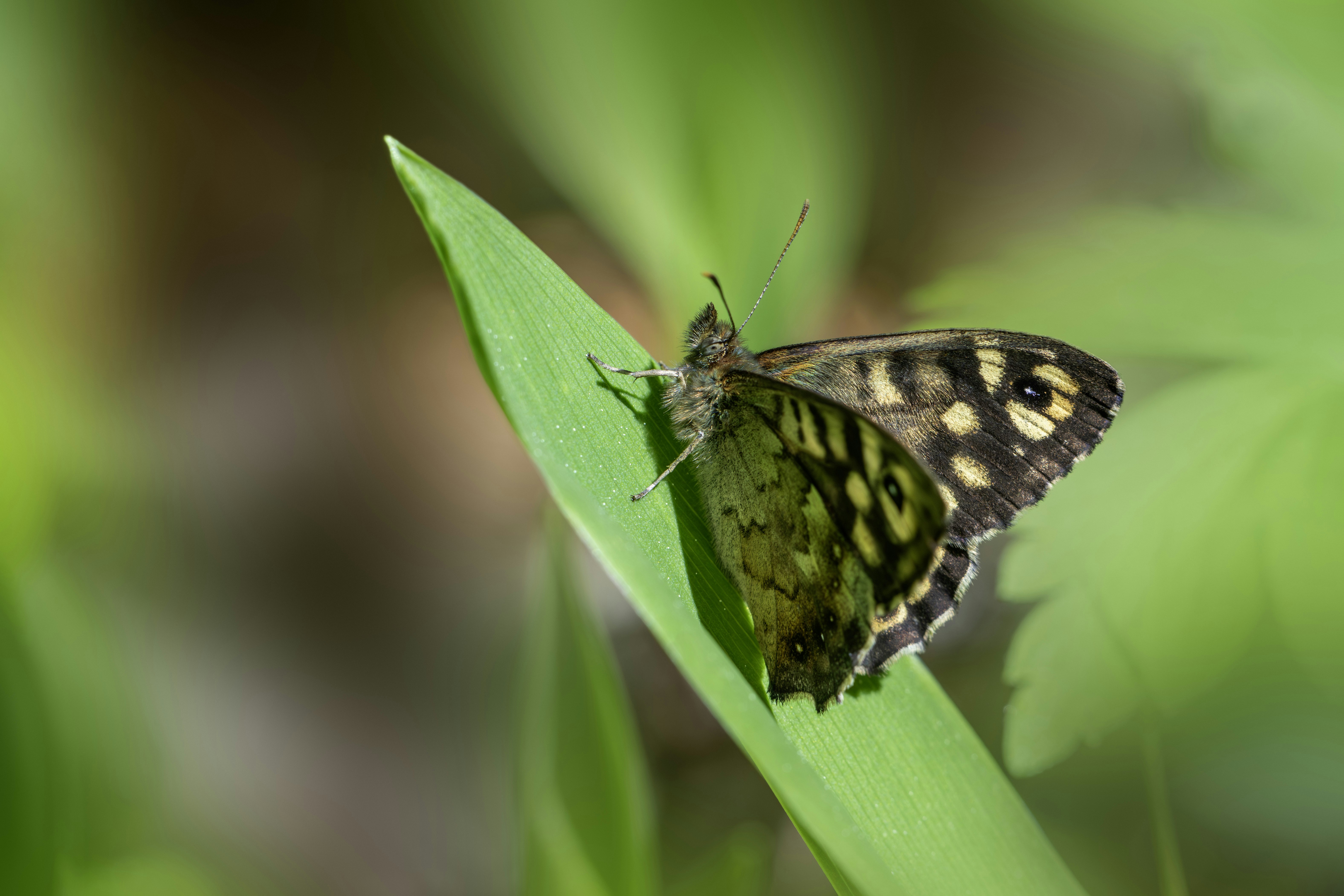 Photo by erik_karits