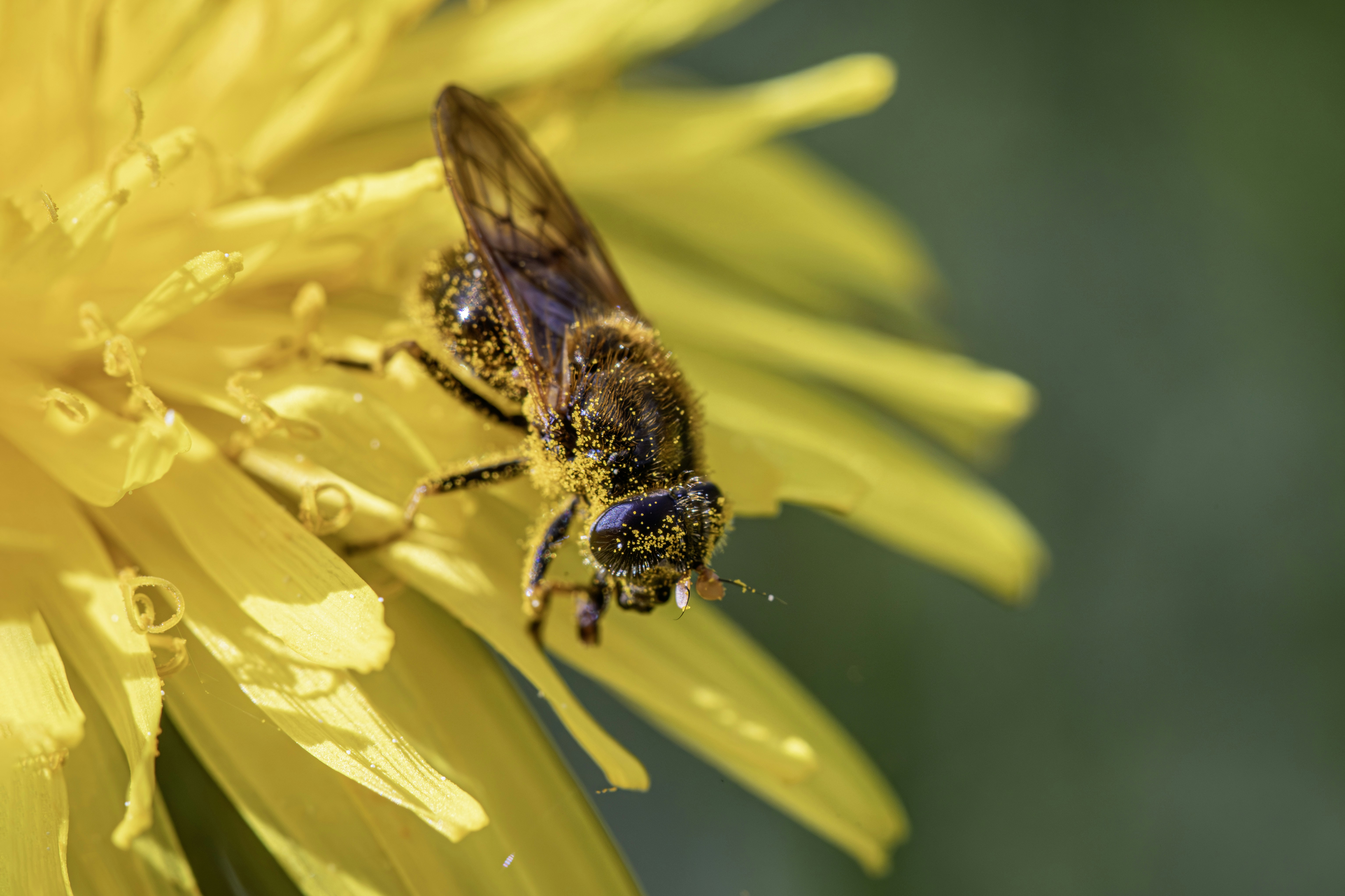 Photo by erik_karits