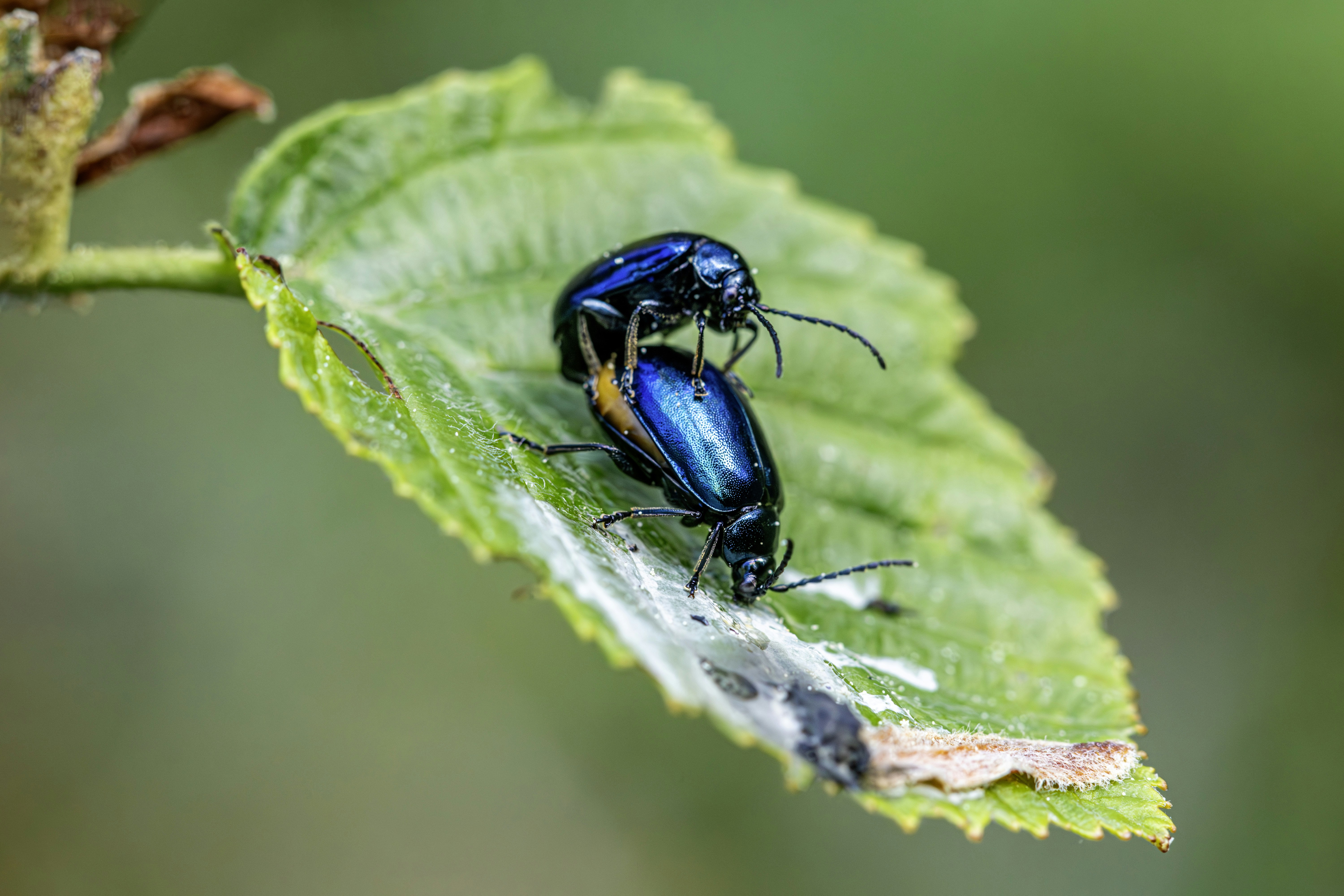 Photo by erik_karits