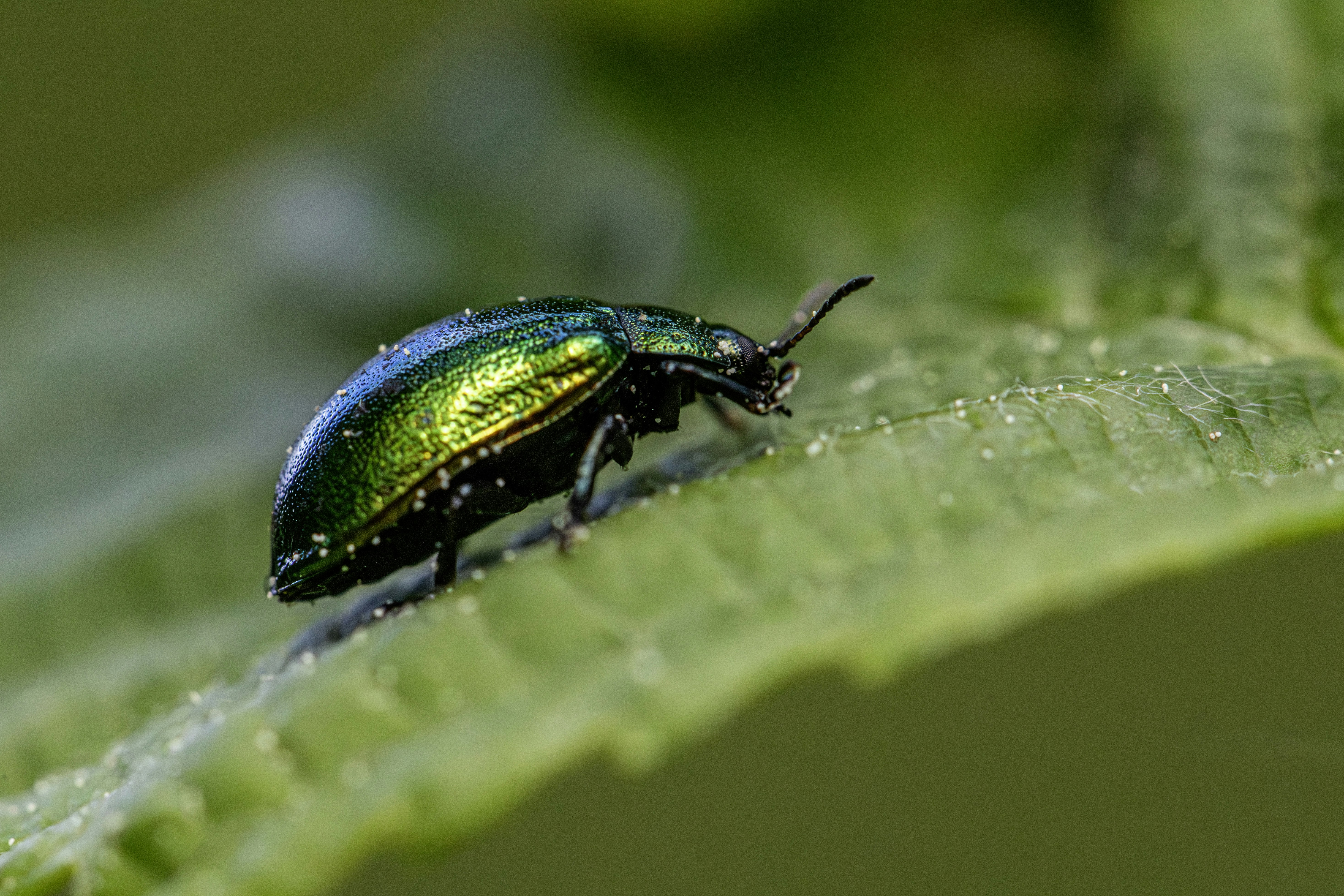 Photo by erik_karits