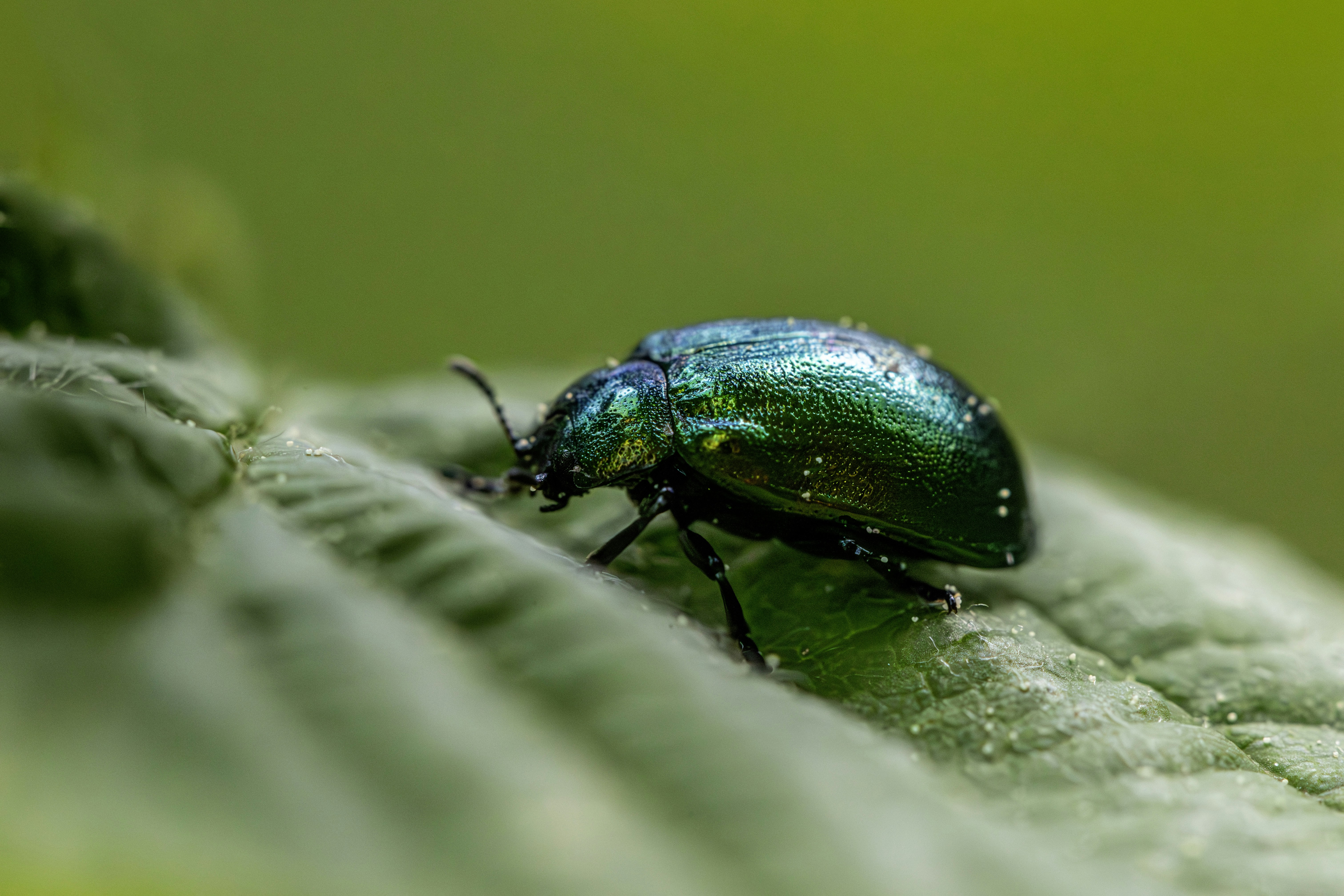 Photo by erik_karits