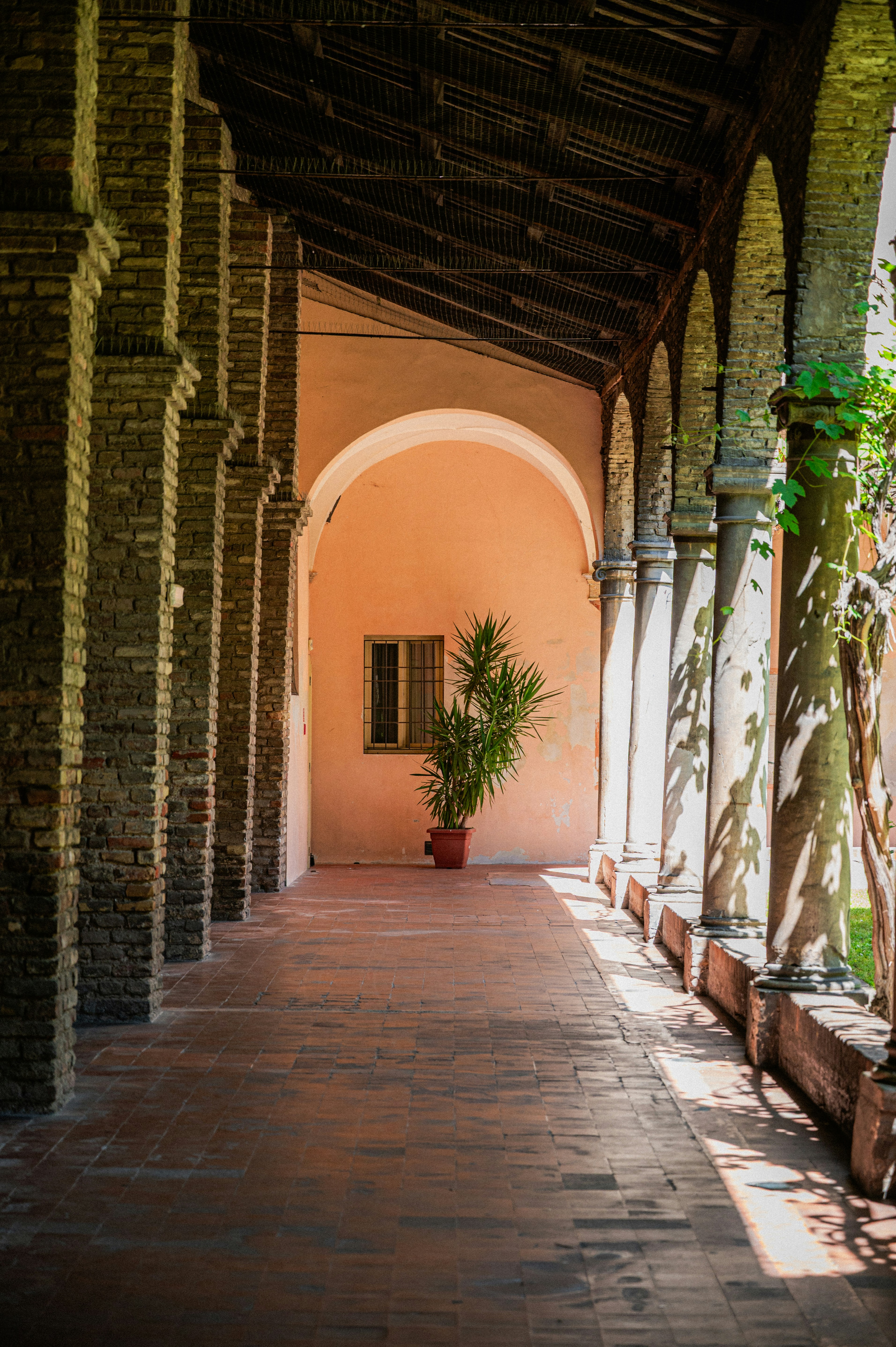 Photo by luca_severin