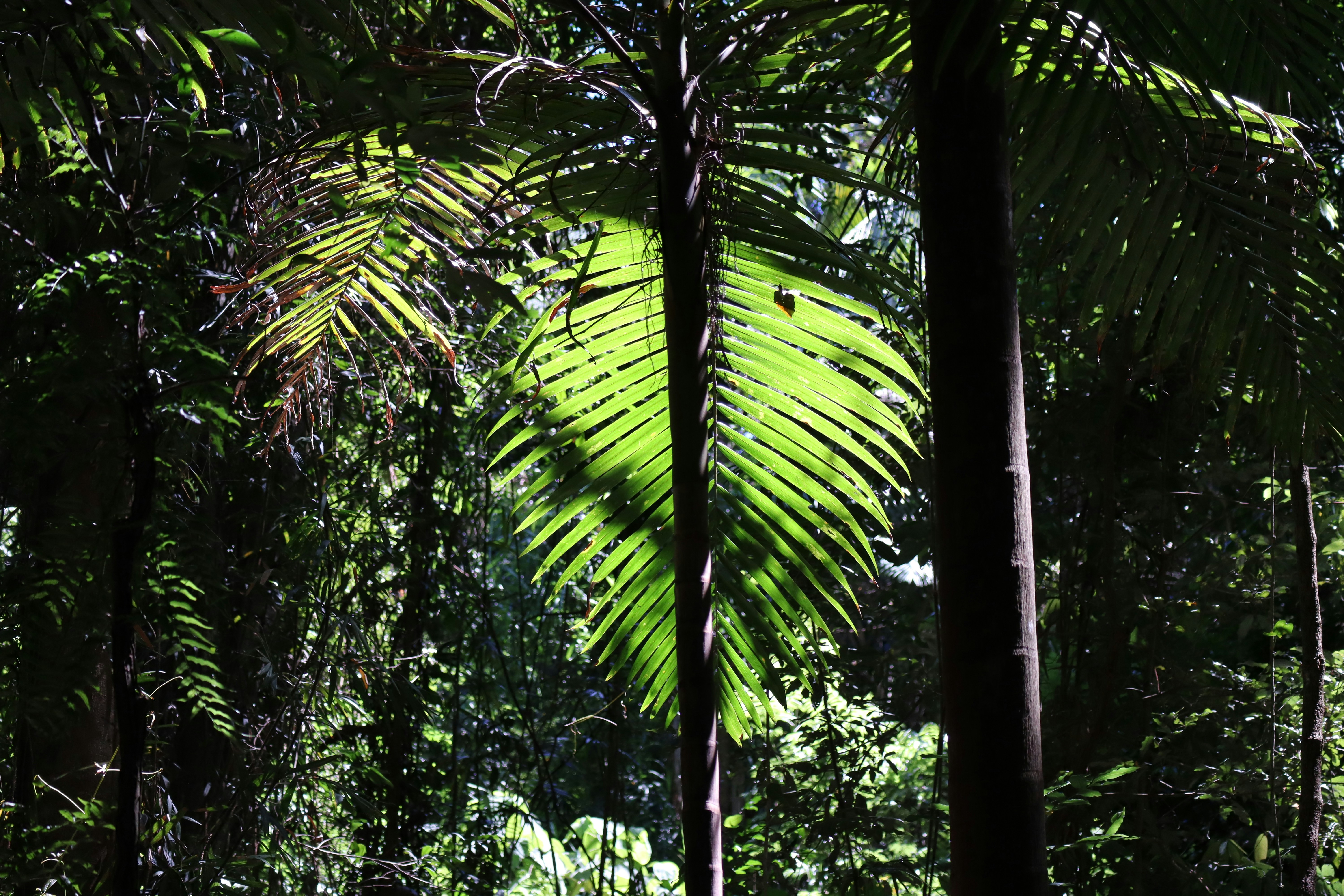 Photo by jentepeerbooms