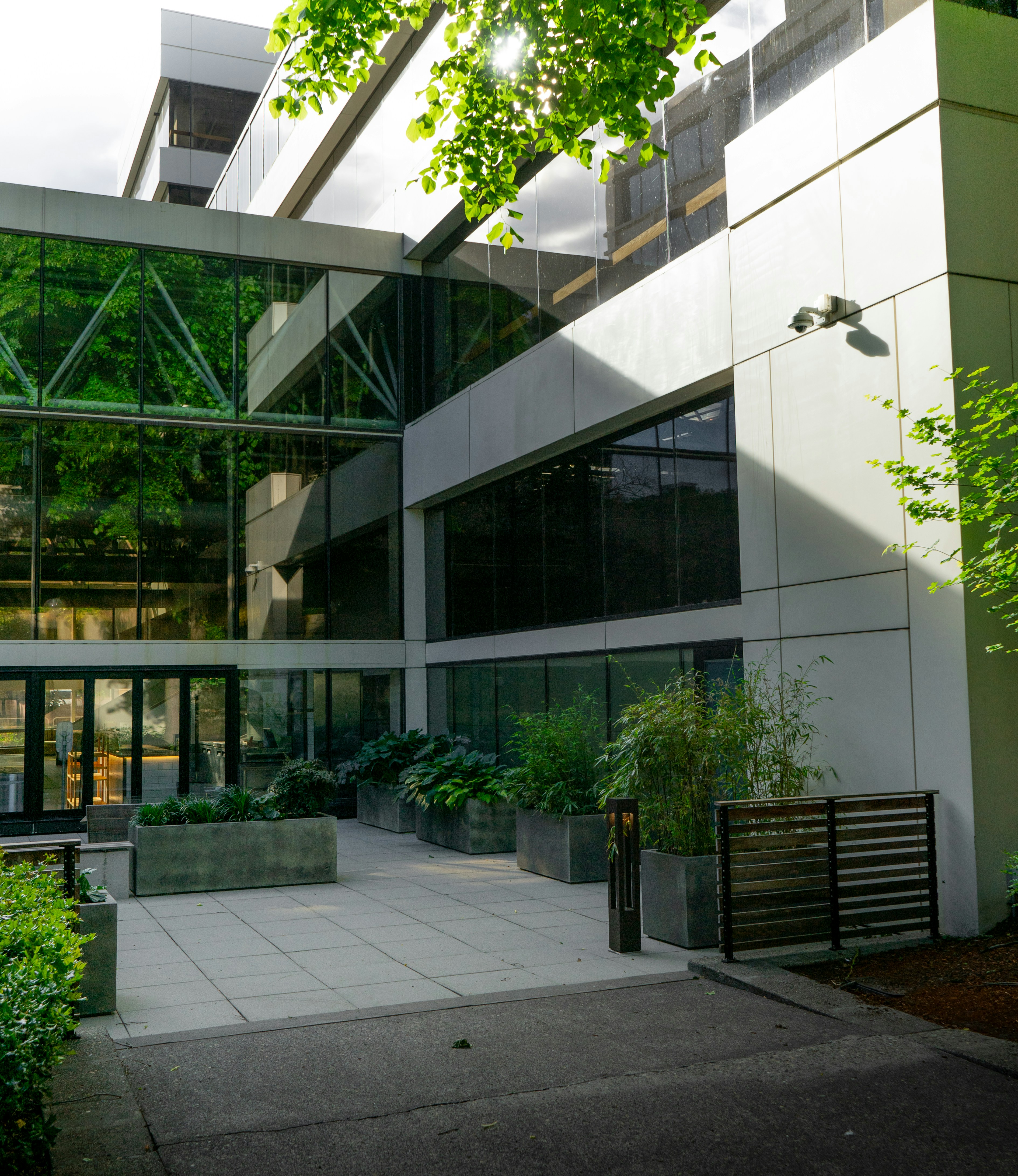 Photo by jamessestric