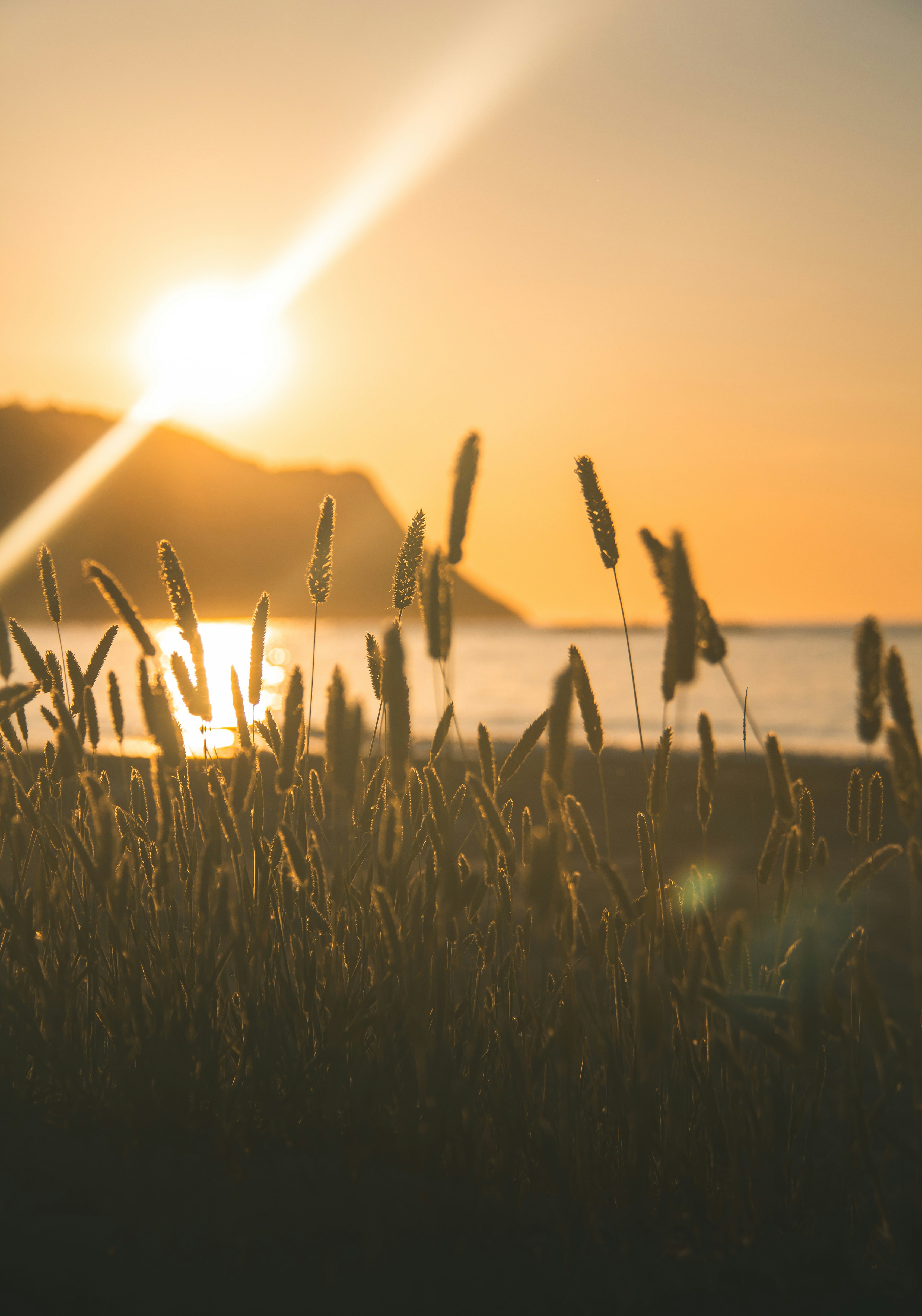 Photo by picsar_rovshan