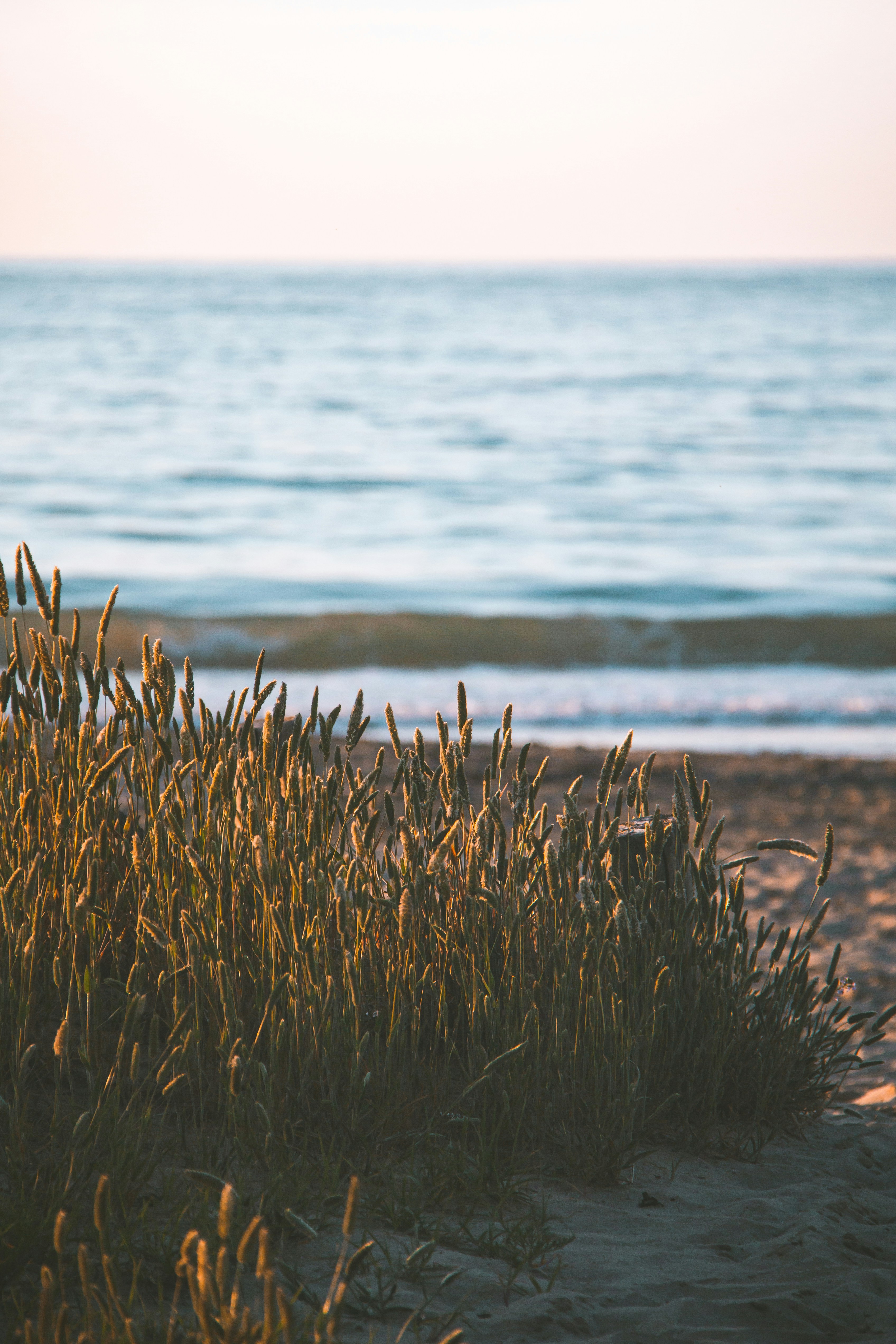 Photo by picsar_rovshan