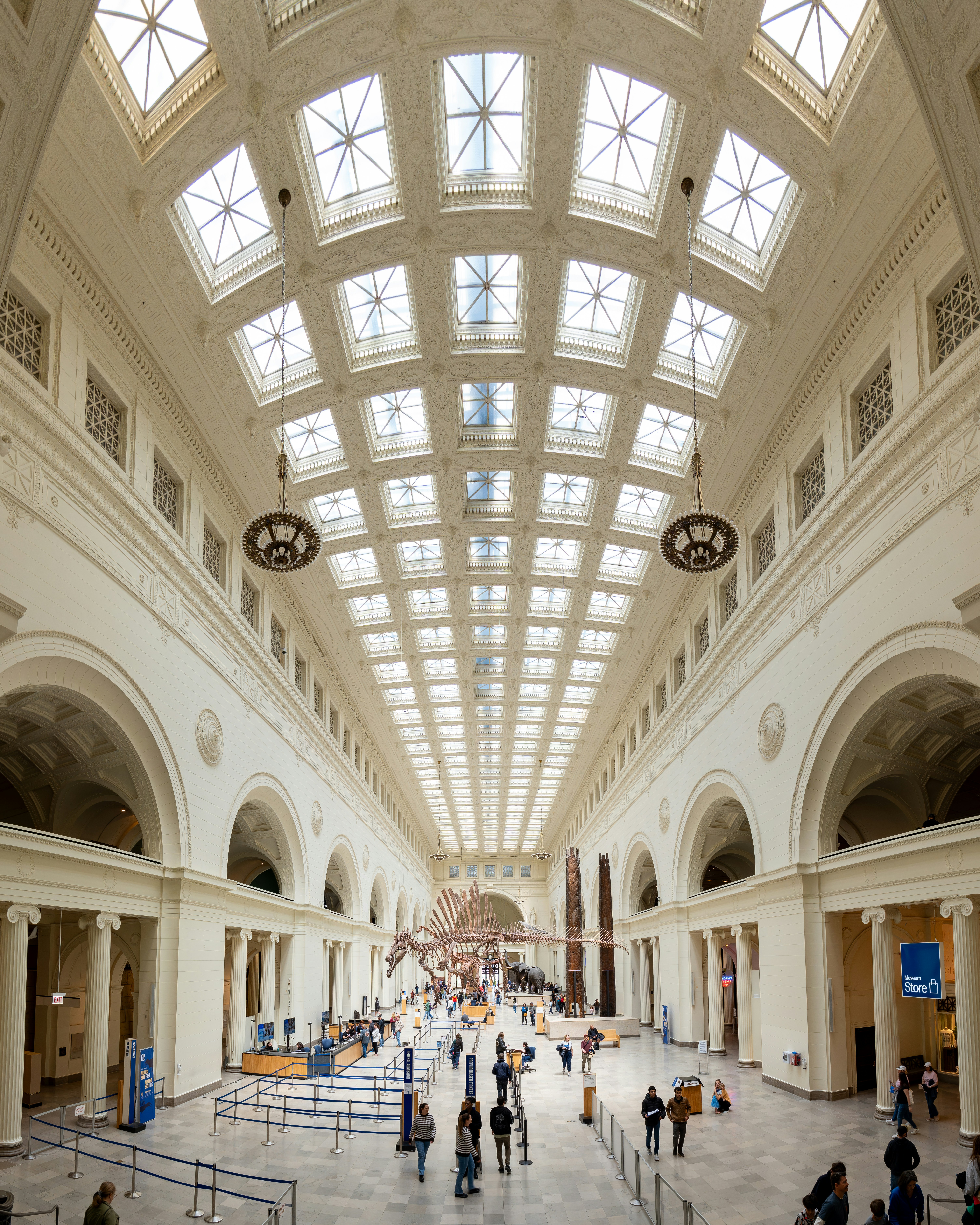 広々とした廊下は天窓で照らされています。