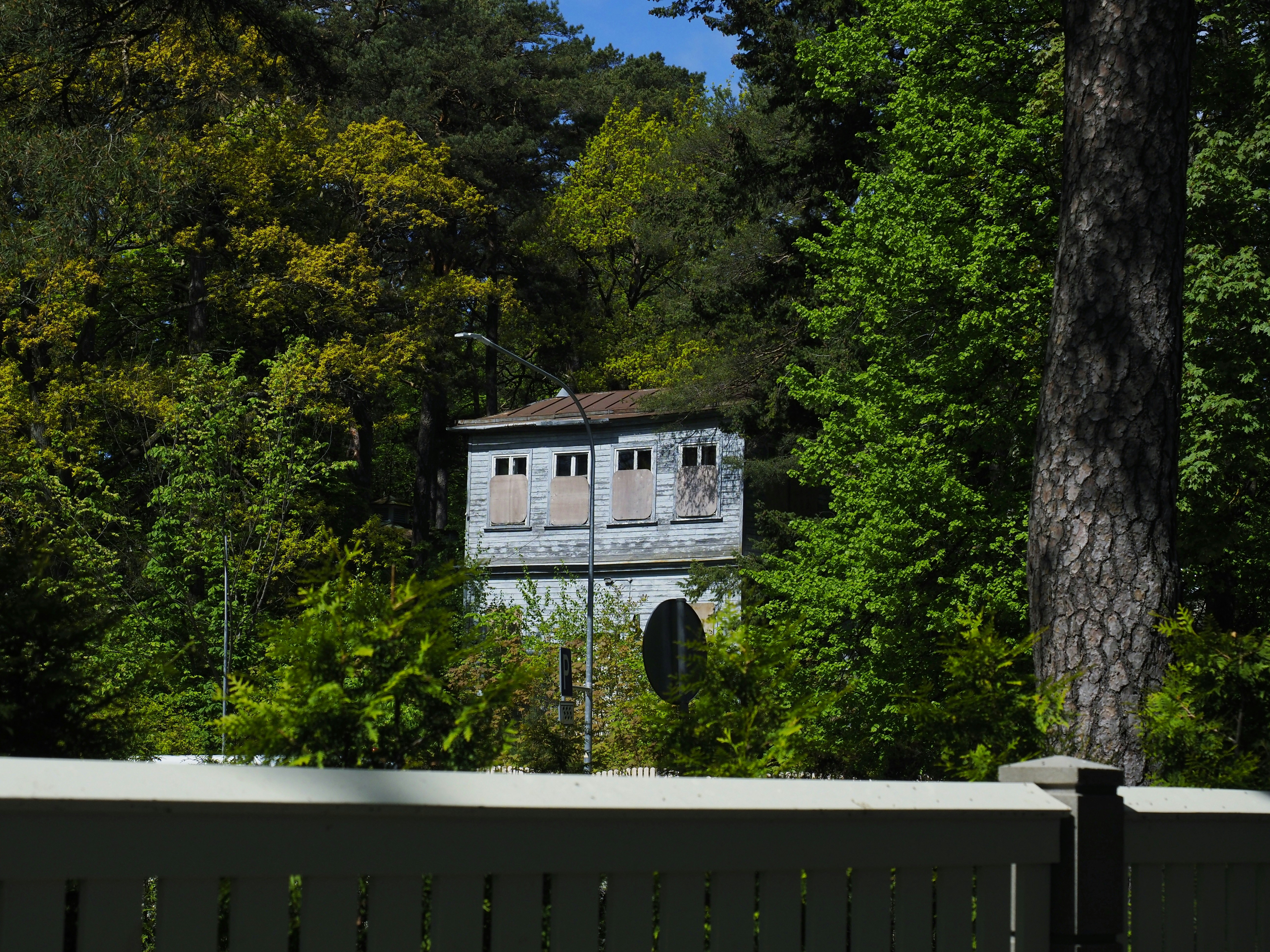 Ein hohes Gebäude ist von üppigen Bäumen umgeben.